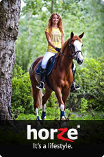 Horse tack online