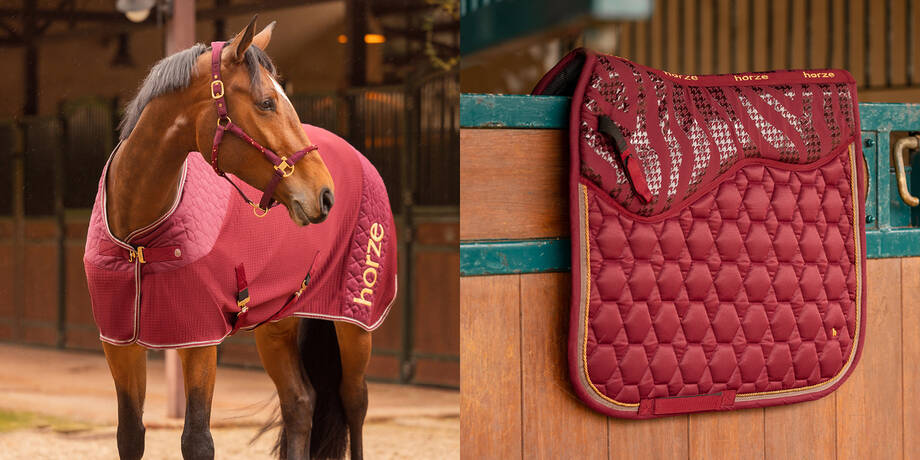 Horse Tack & Horse Equipment