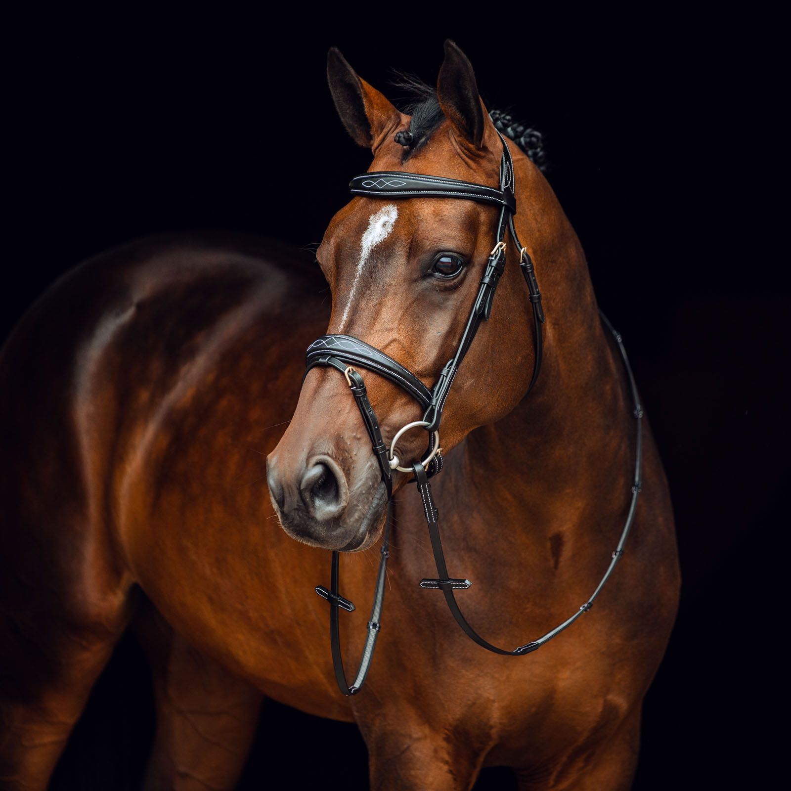 Details about   Horze brand horse size BLACK LEATHER BITLESS BRIDLE w/ browband noseband reins 