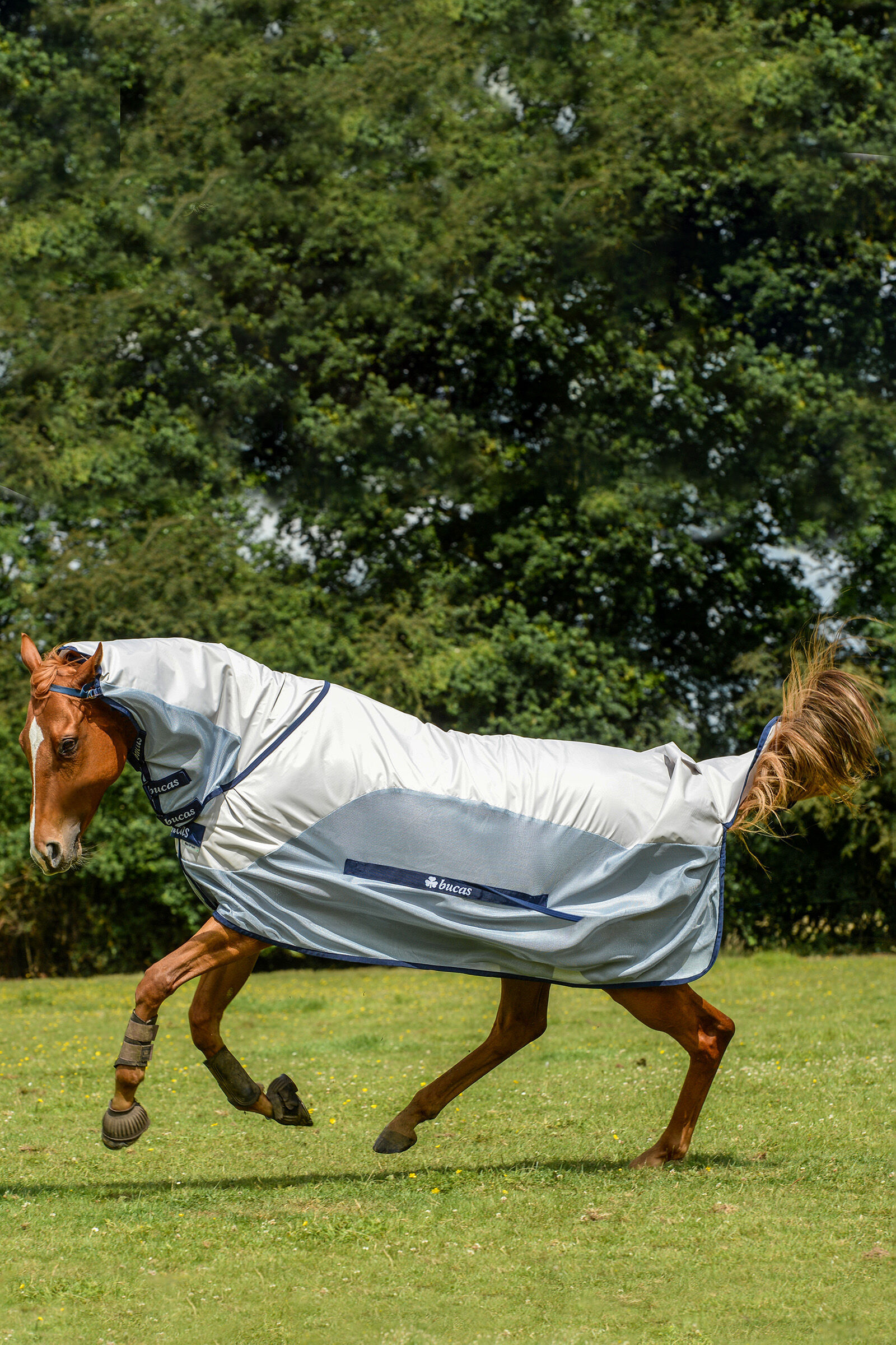 NO FILL TURNOUT WATERPROOF RUG WITH FULL NECK COMBO RUG FROM 3'3"  UPWARDS 