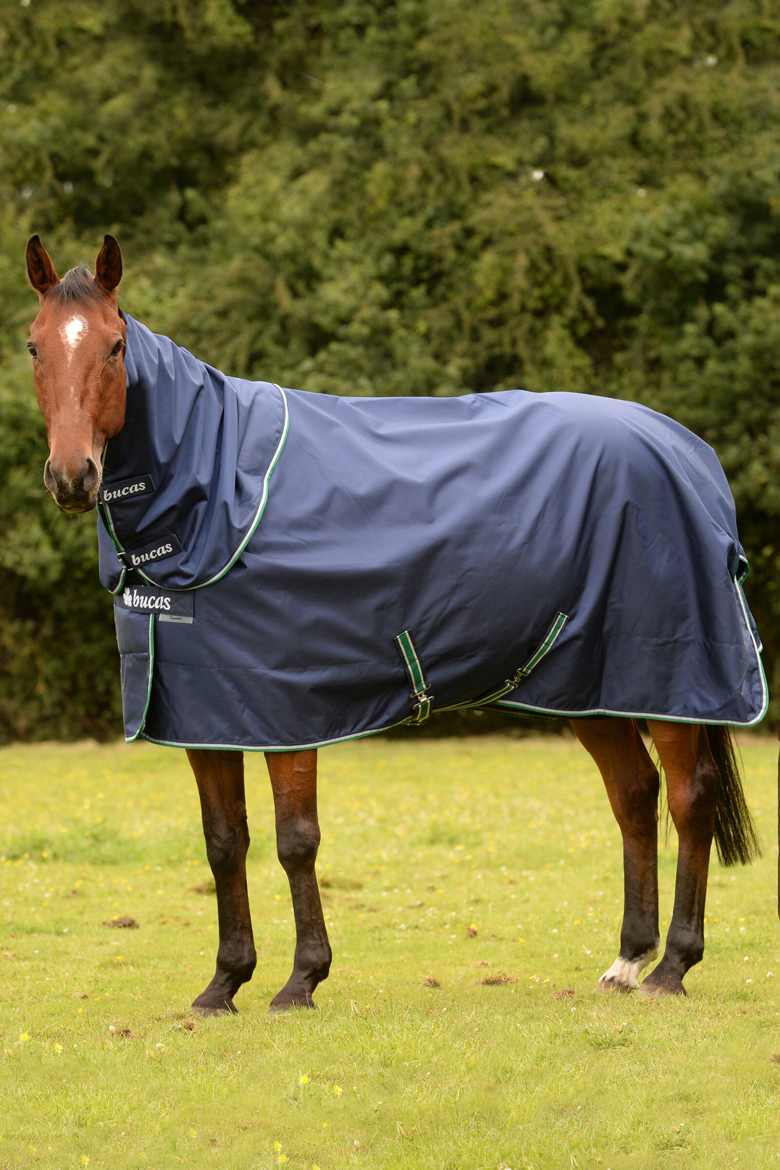 LIGHTWEIGHT TURNOUT HORSE RUG Shires Typhoon Full Neck Combo Waterproof  0g 