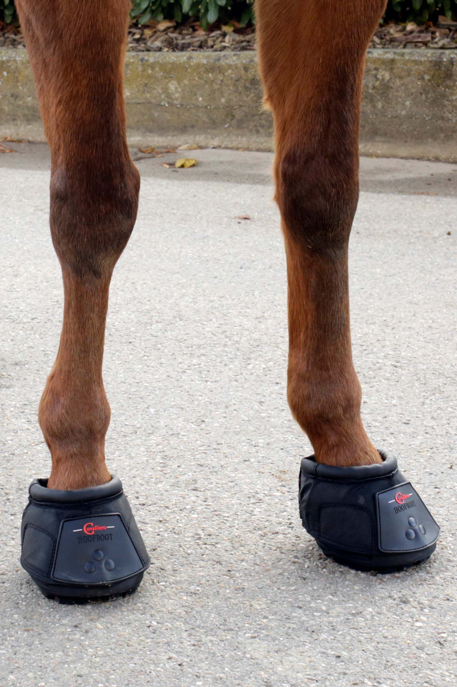 Horse hoof boots sale