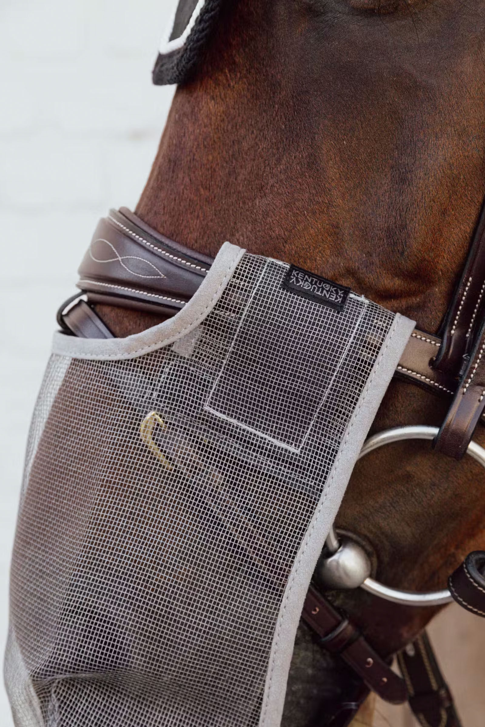 Buy affordable Kentucky Horsewear now | horze.com