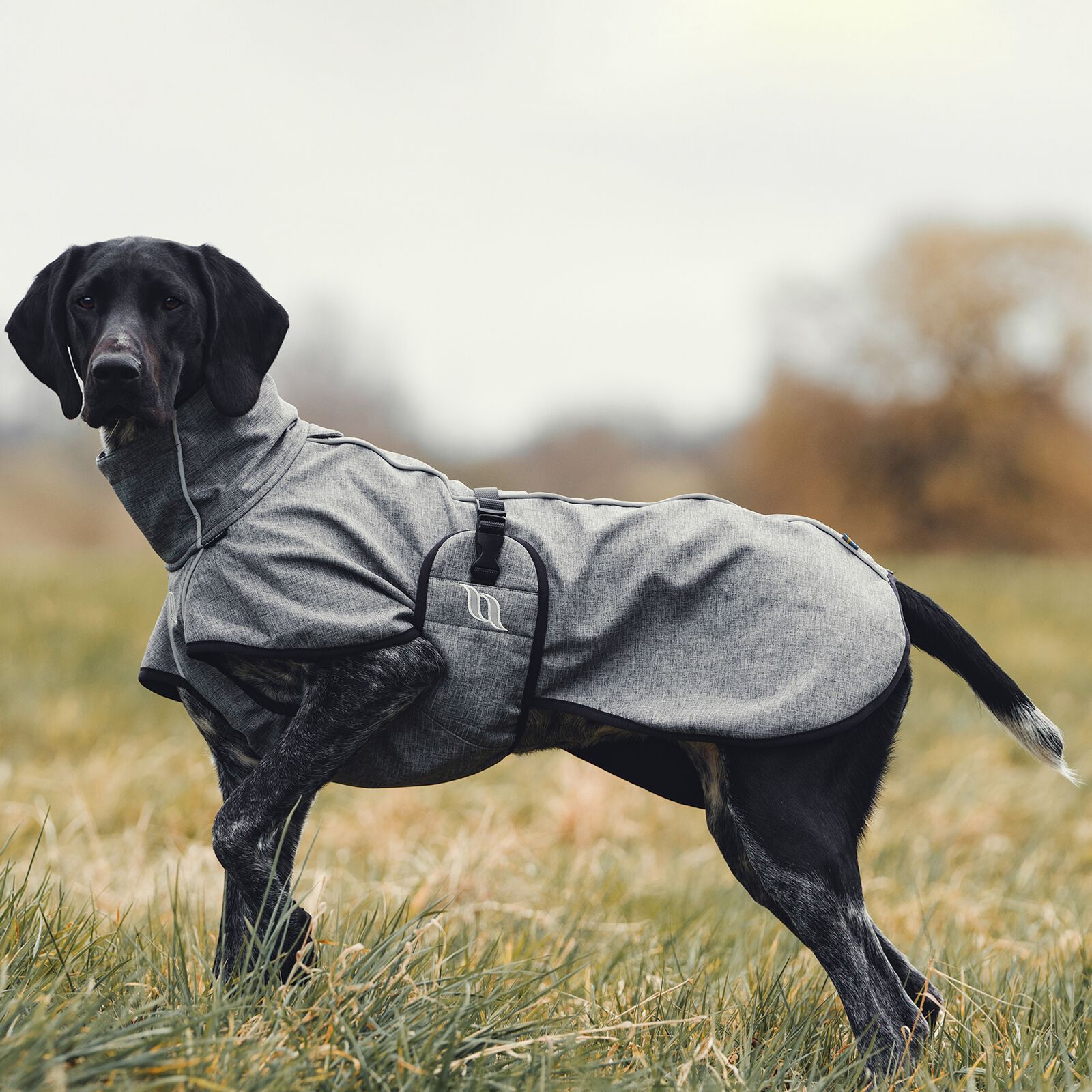 Buy Back on Track Bark All Round Dog Coat 55 65cm horze