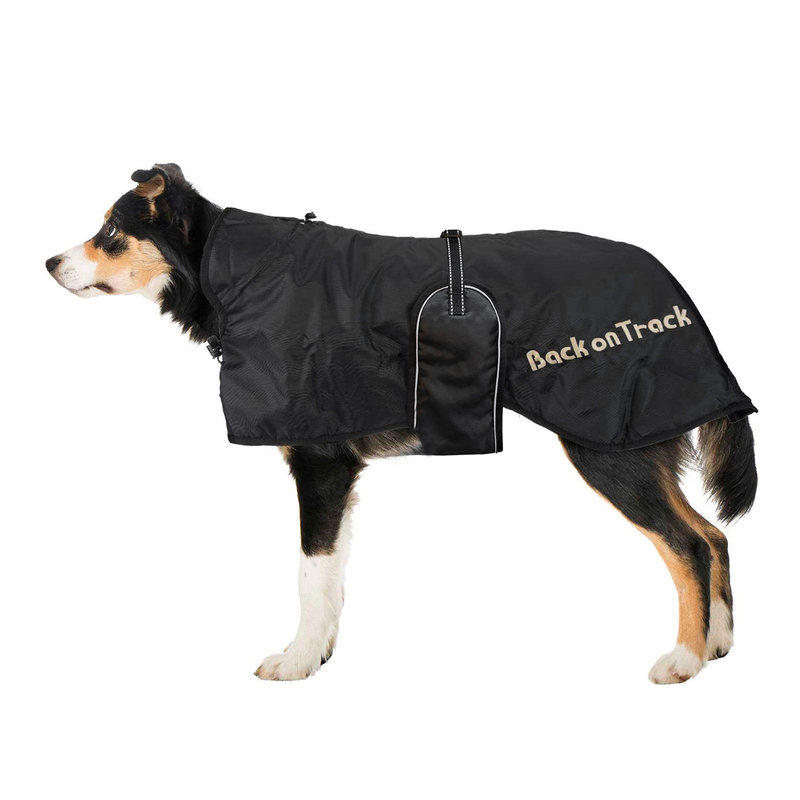 Back on track dog rug hotsell