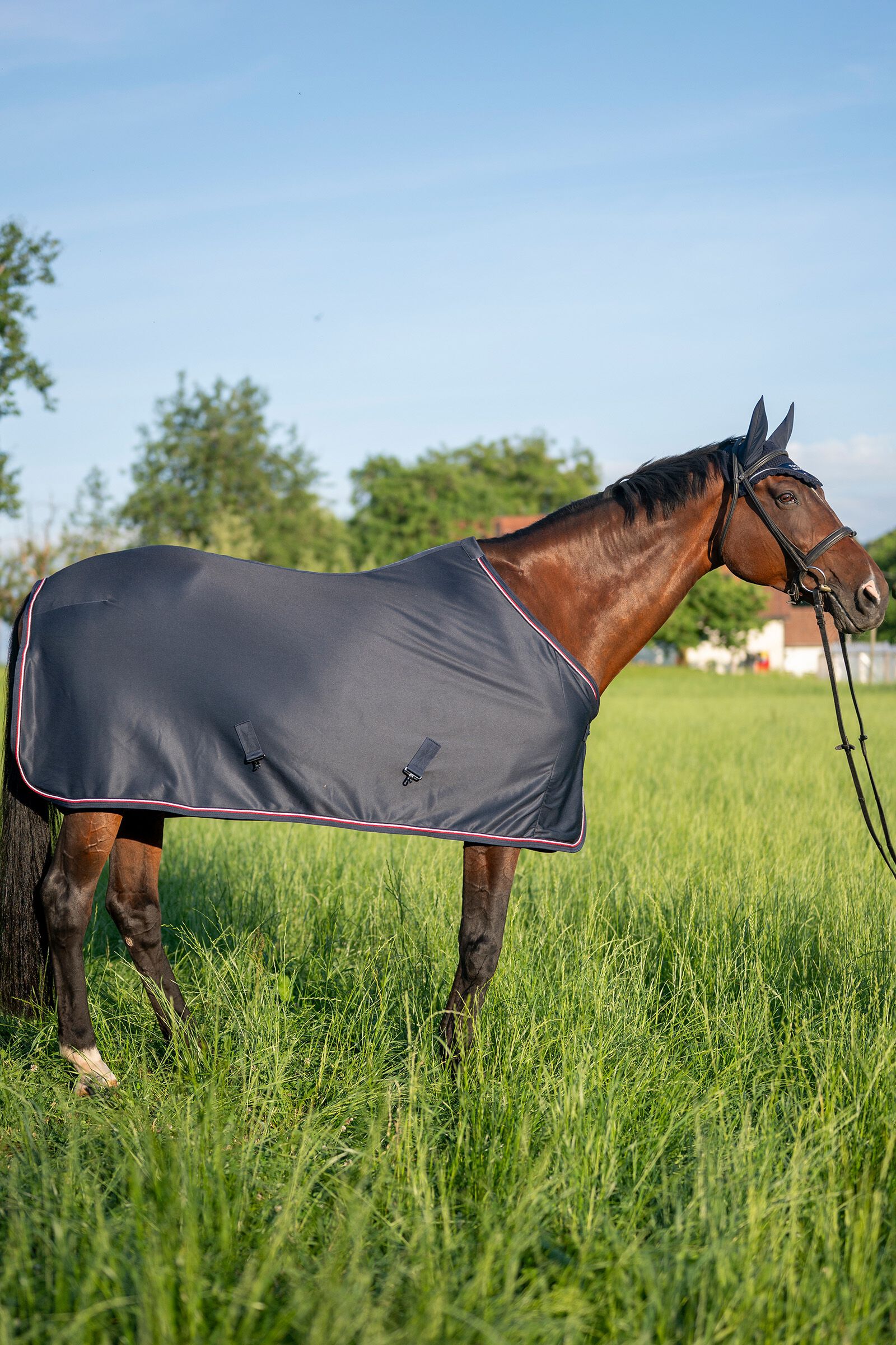 Tommy outlet hilfiger rugs