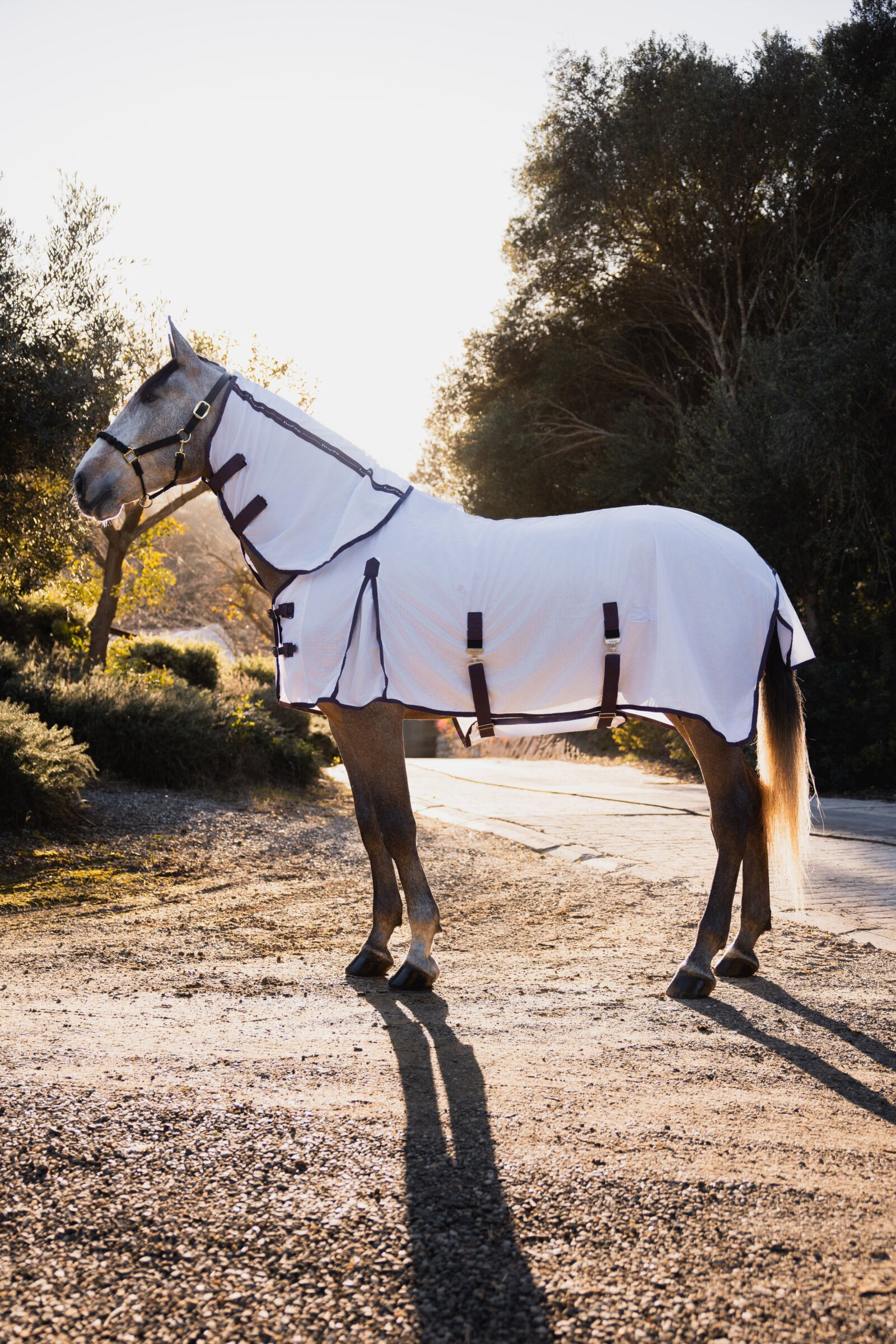 Buy Horze La Paz Fly Set with Rug, Detachable Neck and Mask