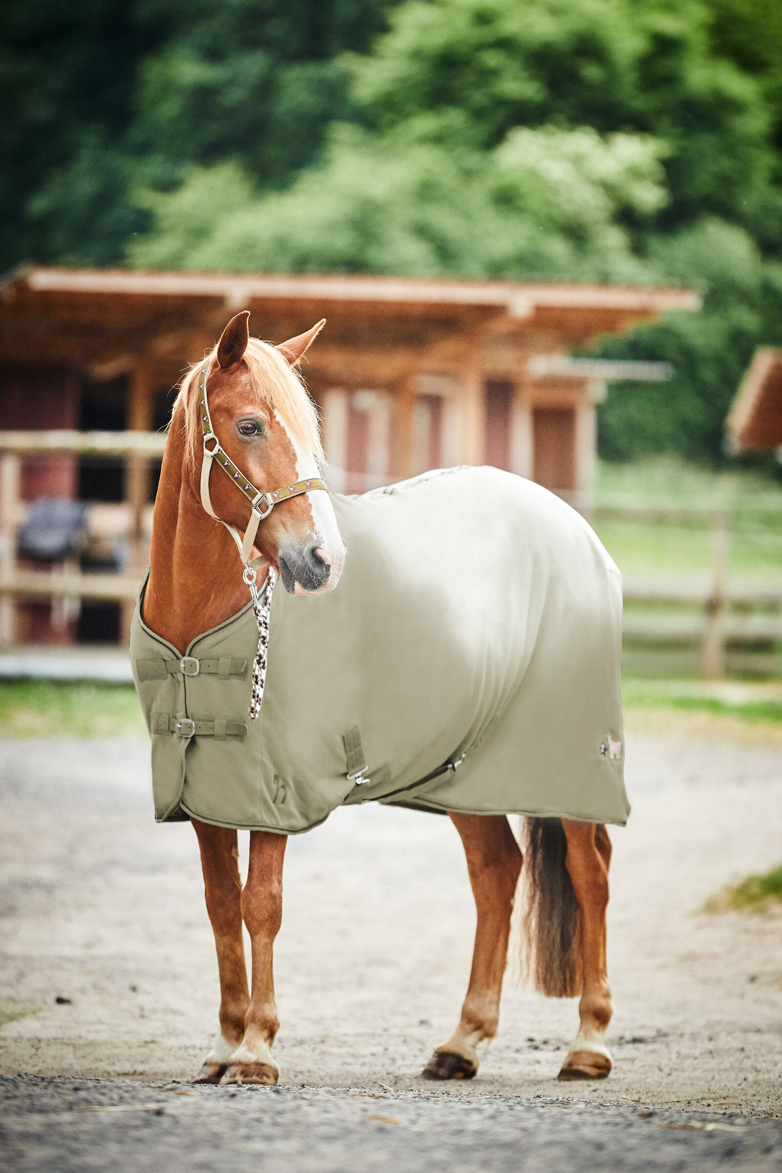 Horze fleece hotsell rug
