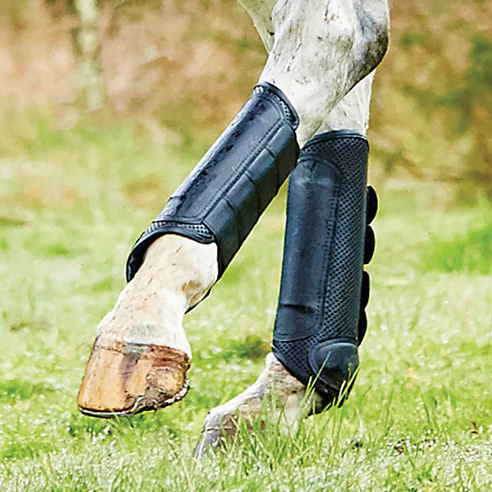 Weatherbeeta dressage boots discount