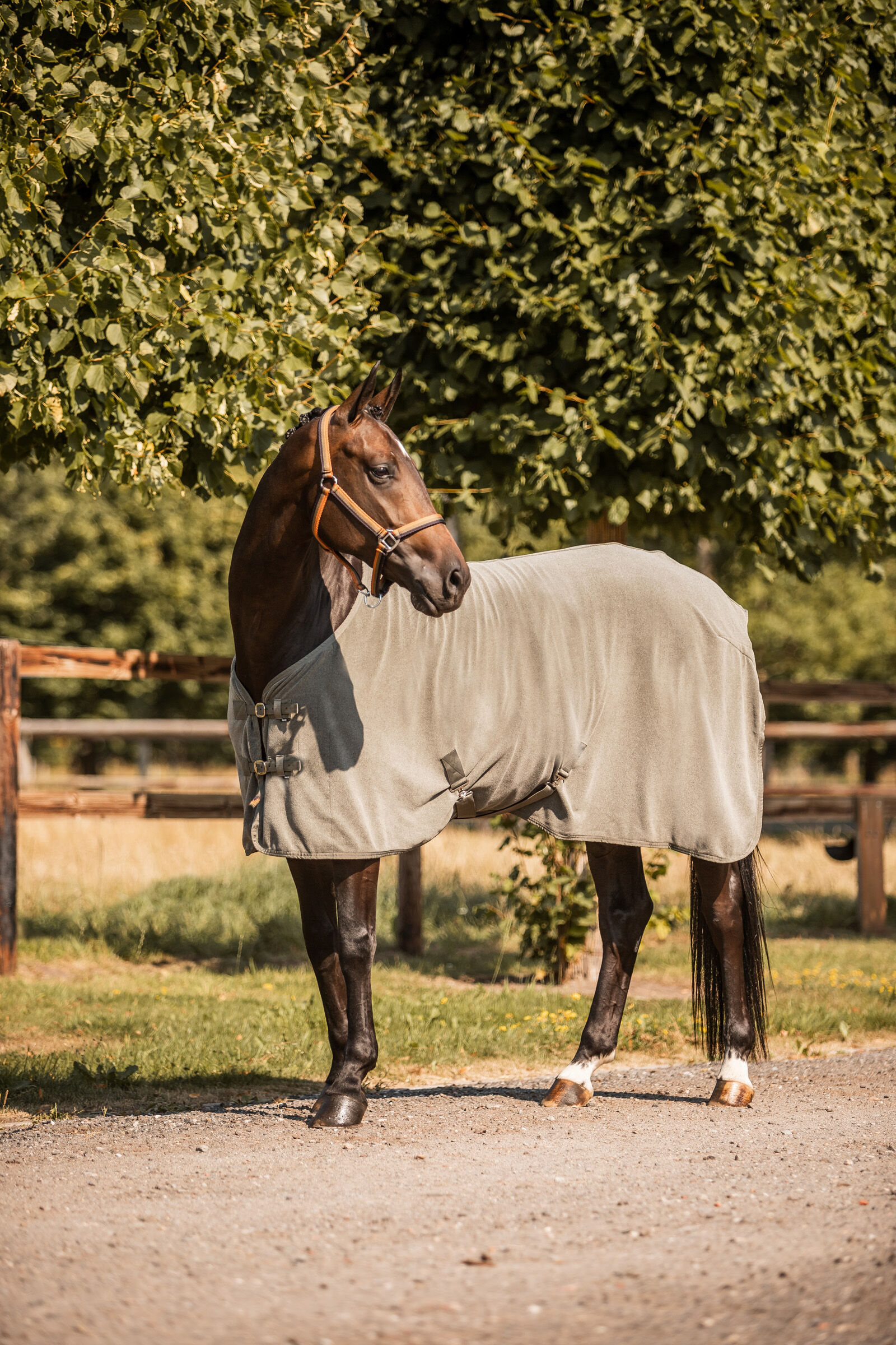 Horze fleece hotsell rug