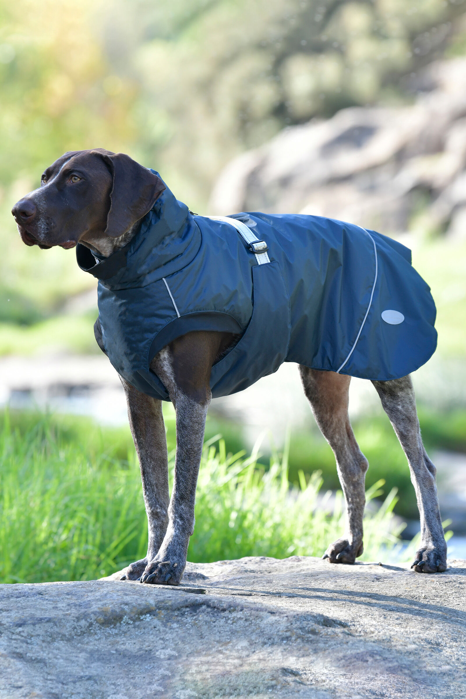 Hurtta extreme sale warmer dog coat