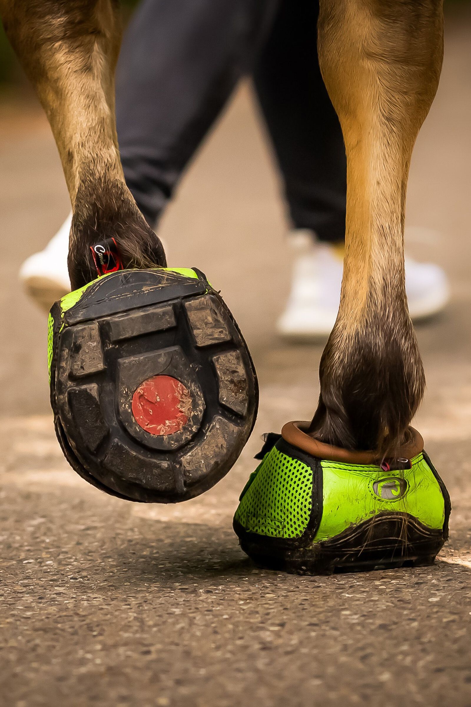 Horse boots instead of shoes discount