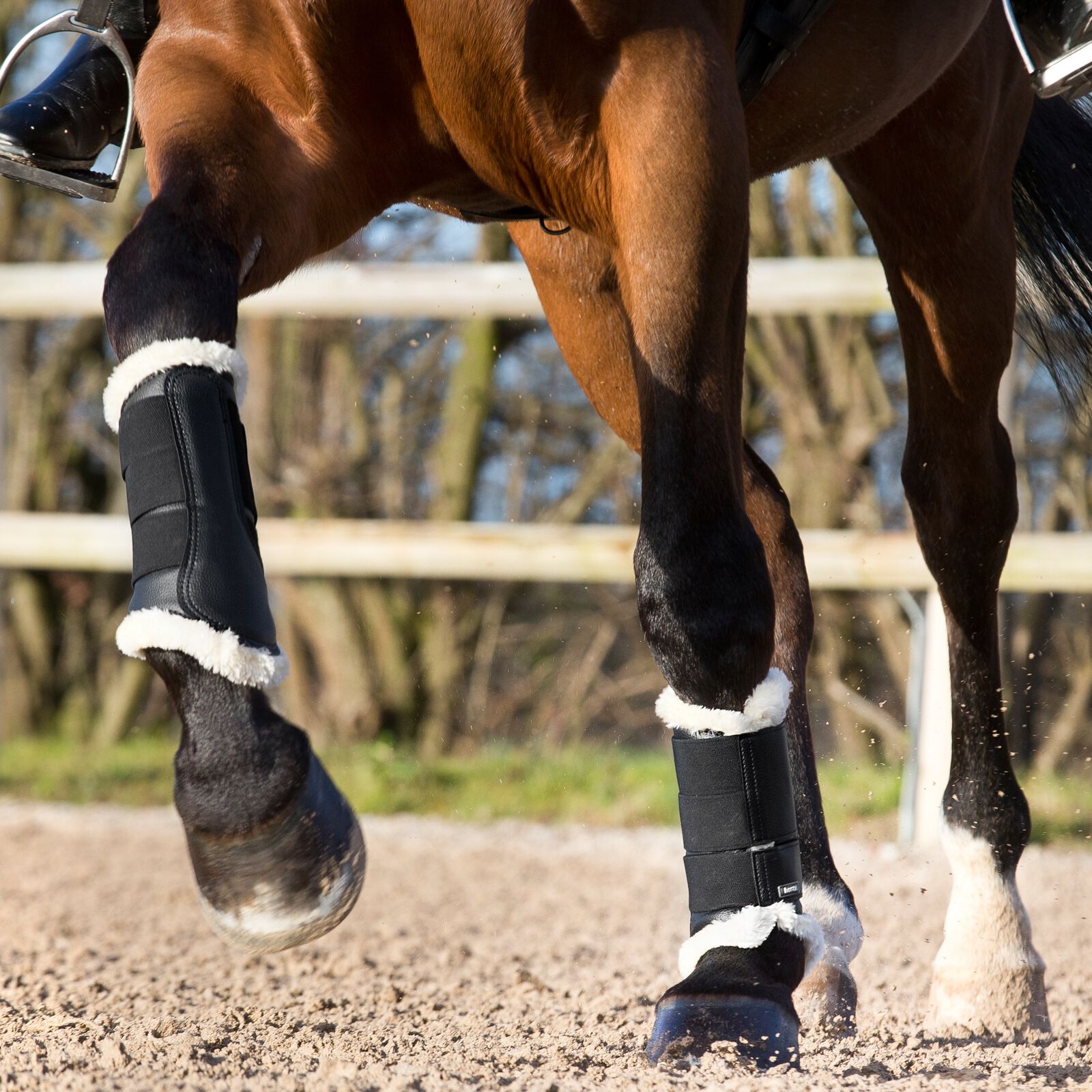 Back brushing boots cheap