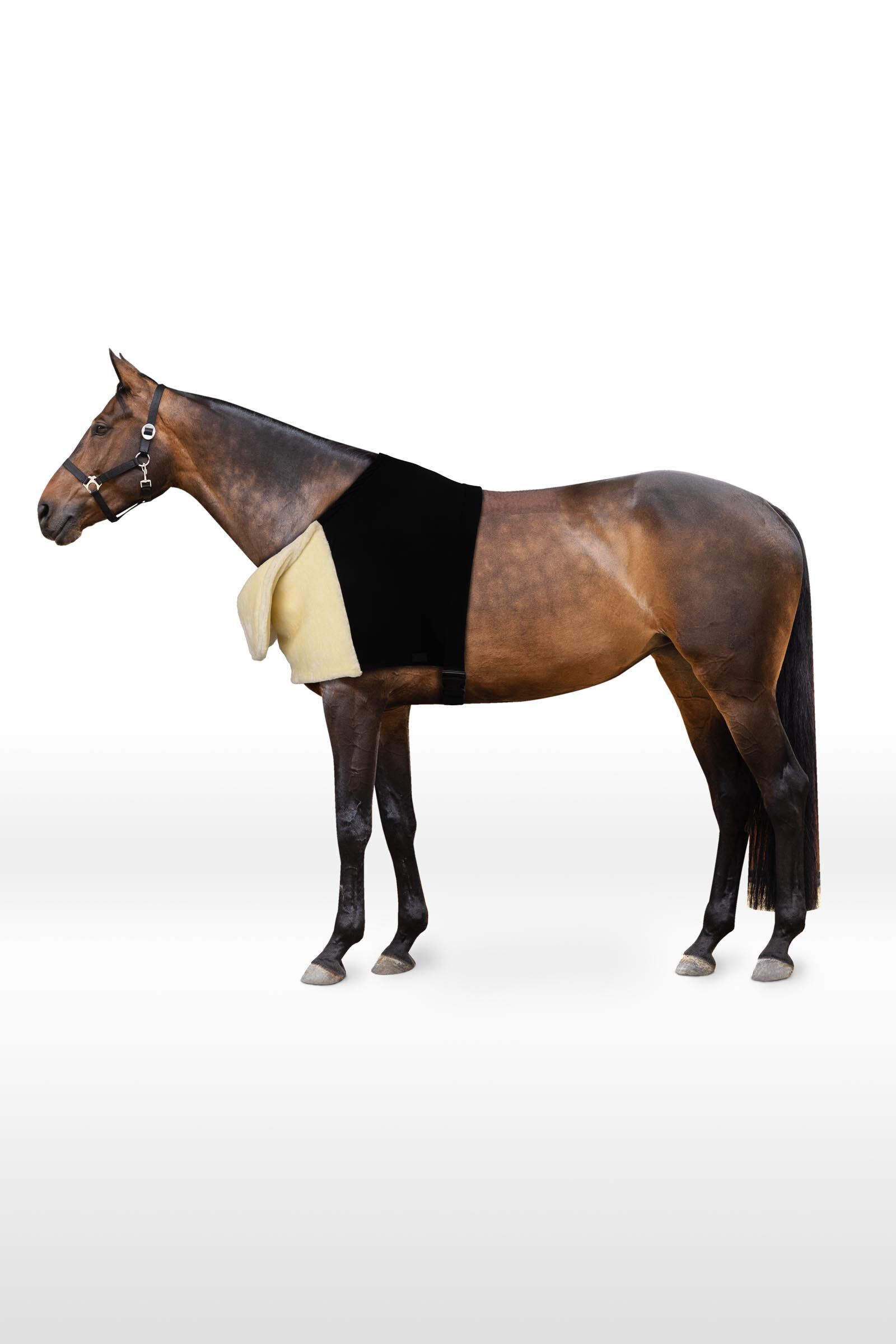 HORZE Graz Halter ピーコート ダークブルー 馬 : HORZE Graz Fleece Padded Halter - Black - Horse : 運動