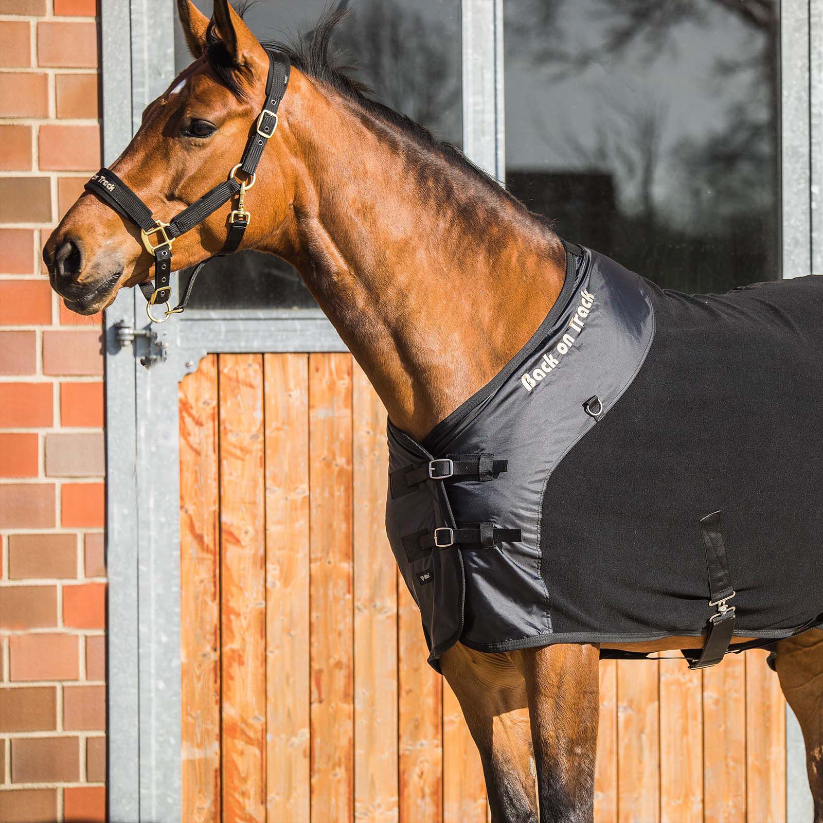 Back on hotsell track fleece rug