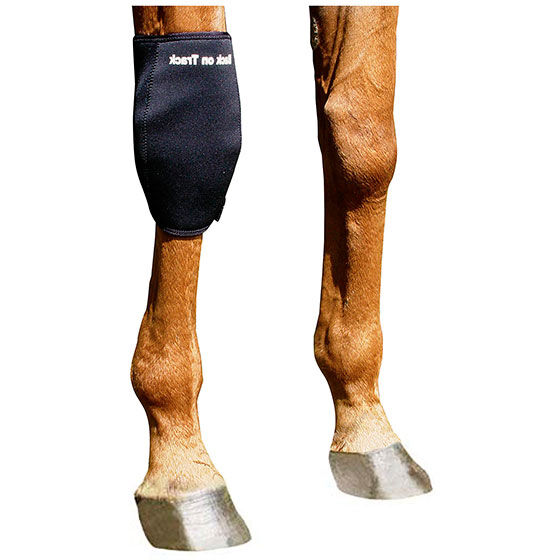 Back on track knee wraps outlet