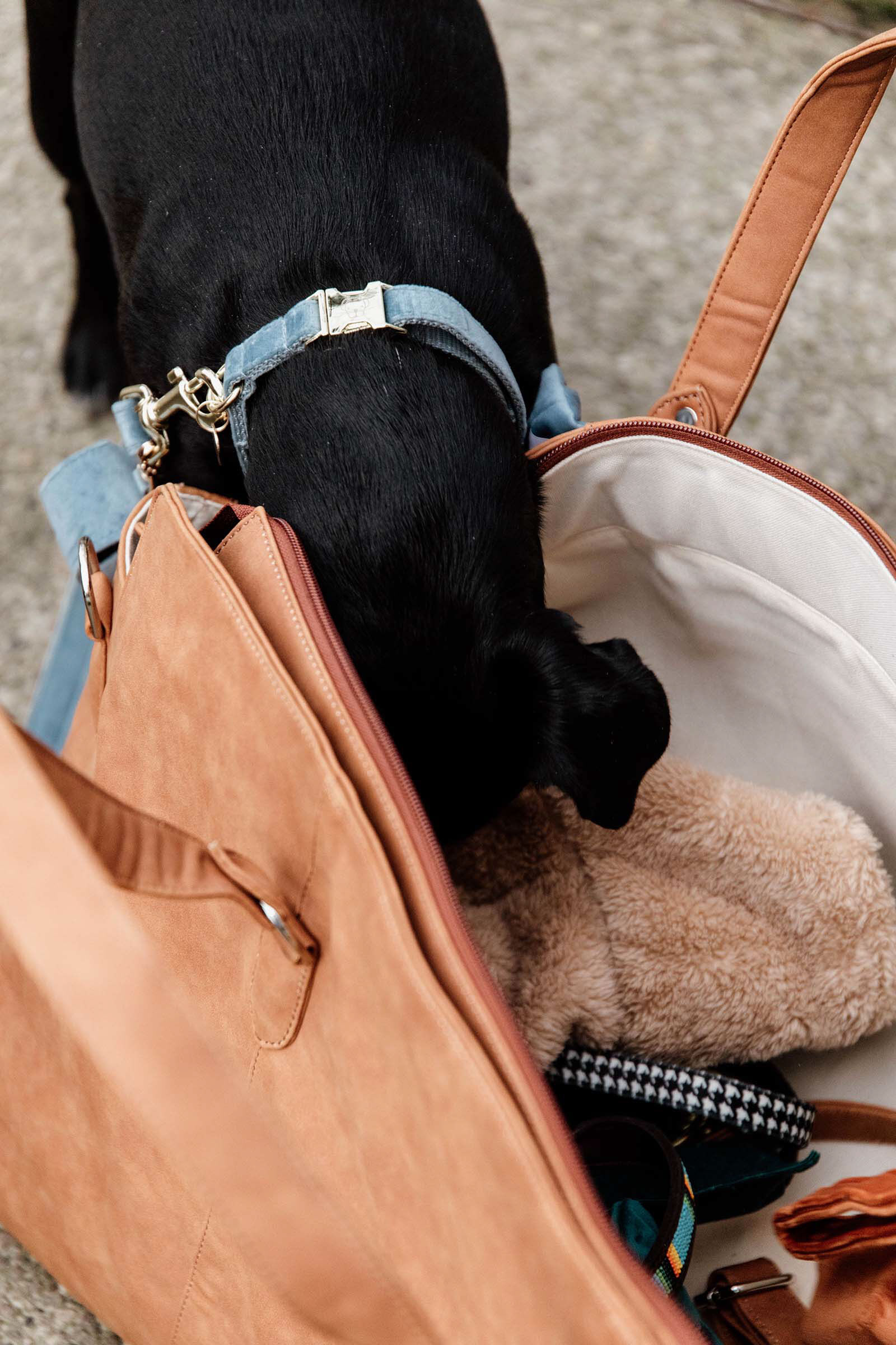 Grooming travel bag sales