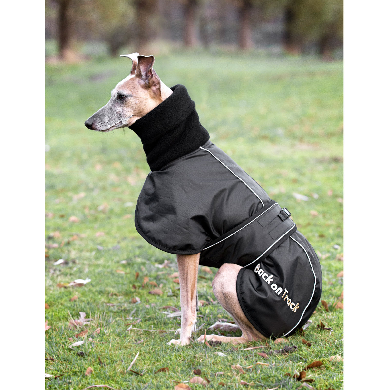 Manteau back on track sale chien