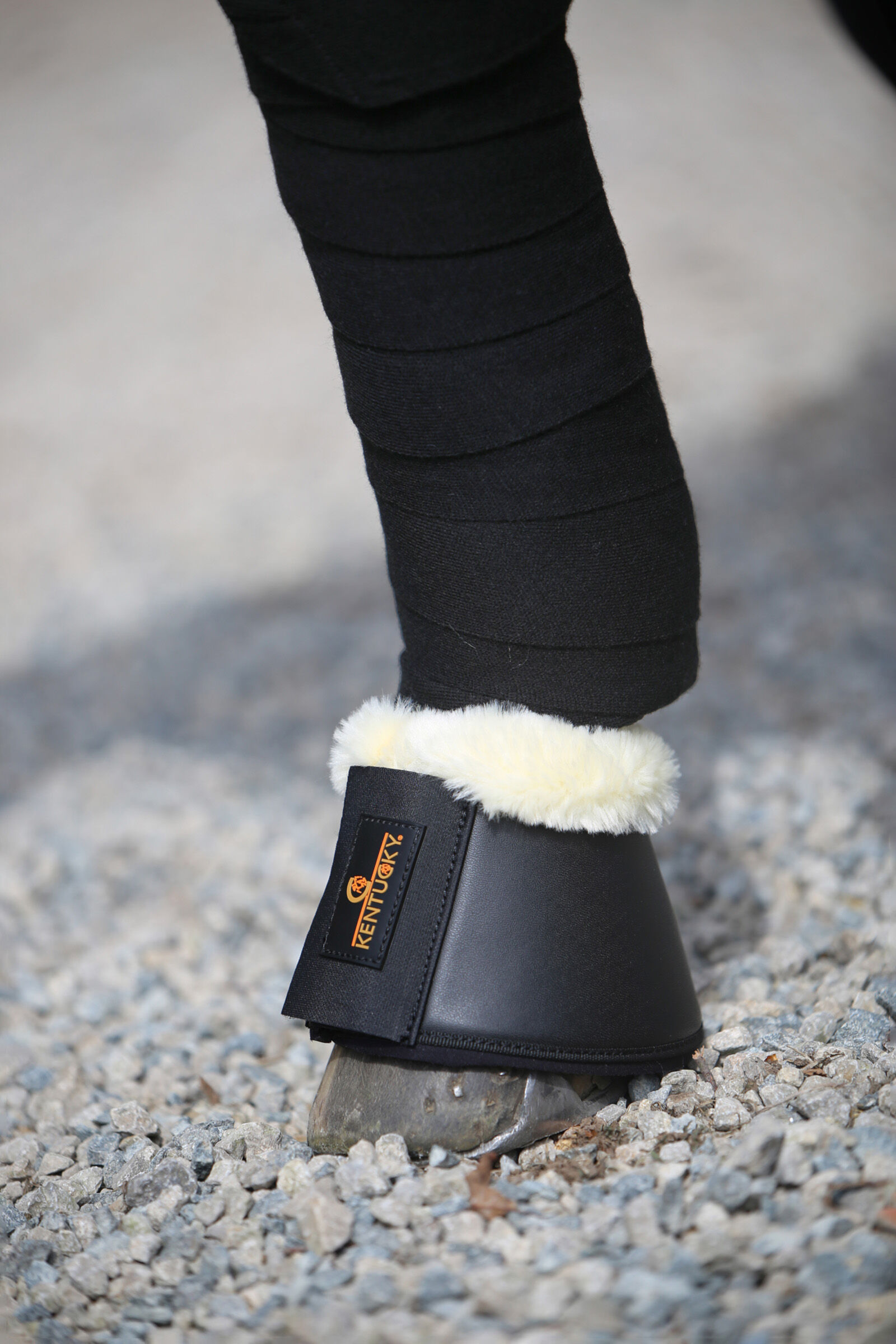 Leather over reach boots outlet