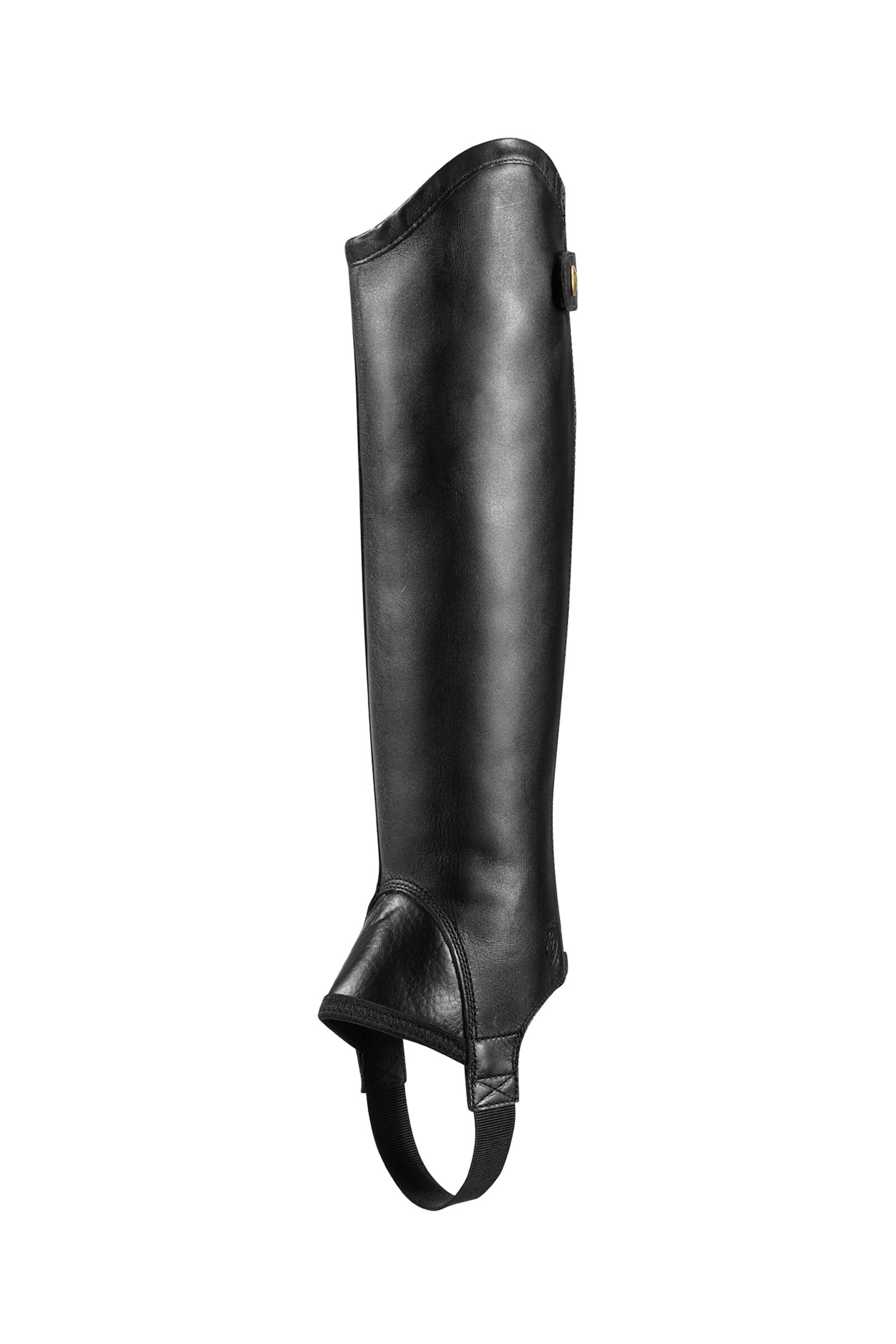 Ariat chaps concord sales