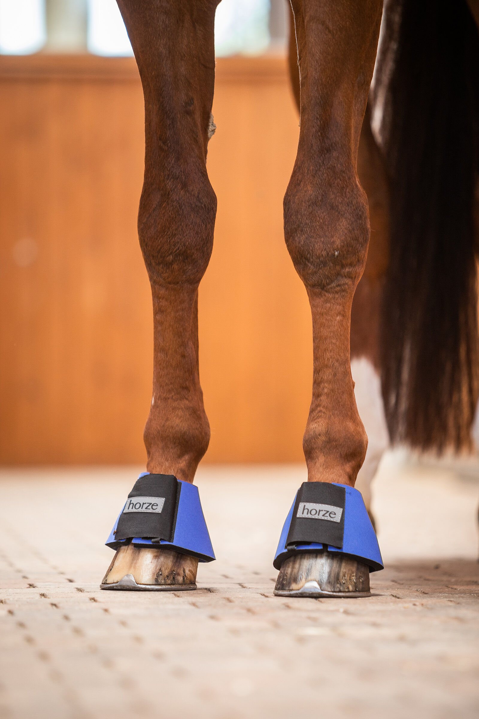 Horze over reach boots new arrivals