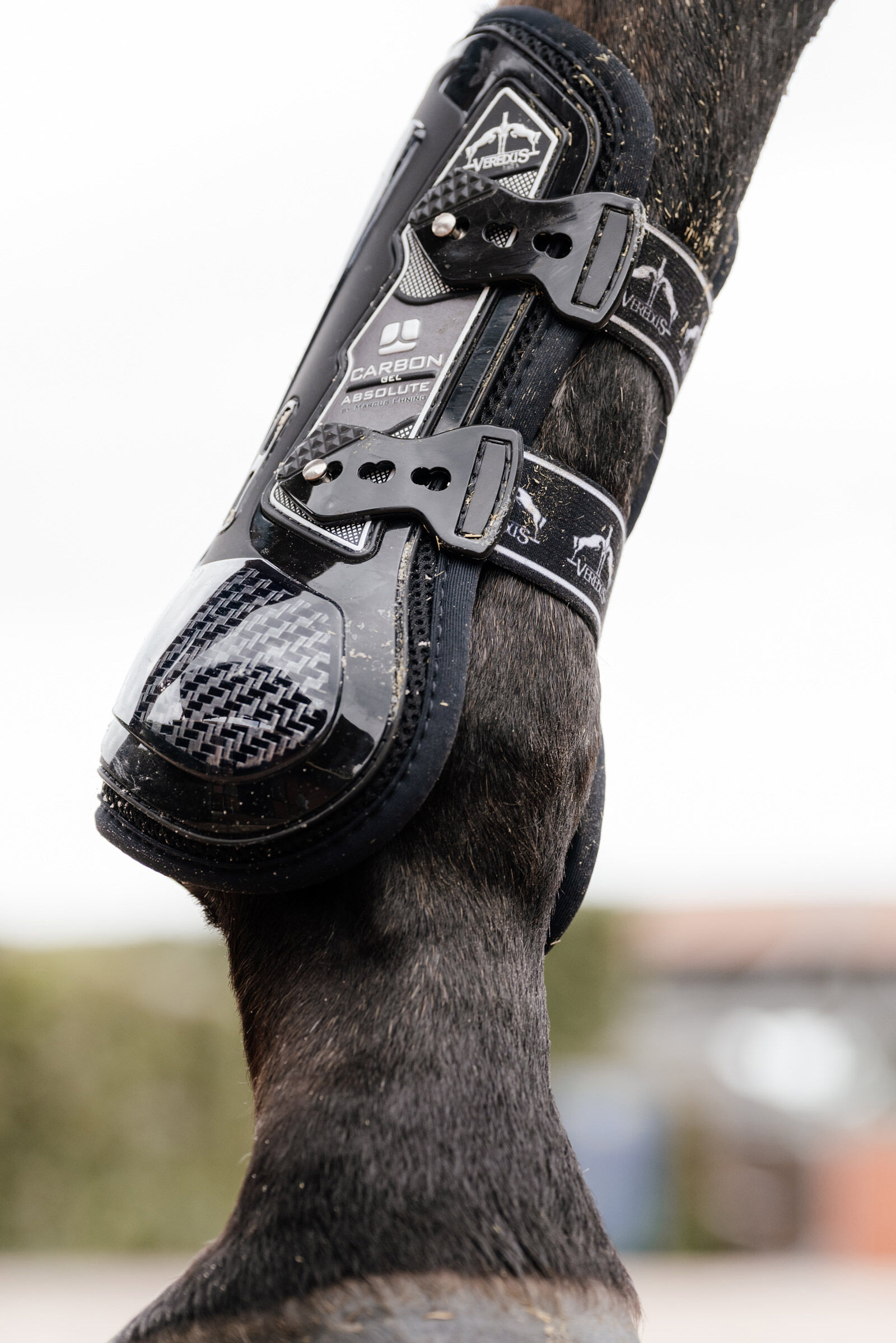 Veredus carbon gel tendon boots cheap