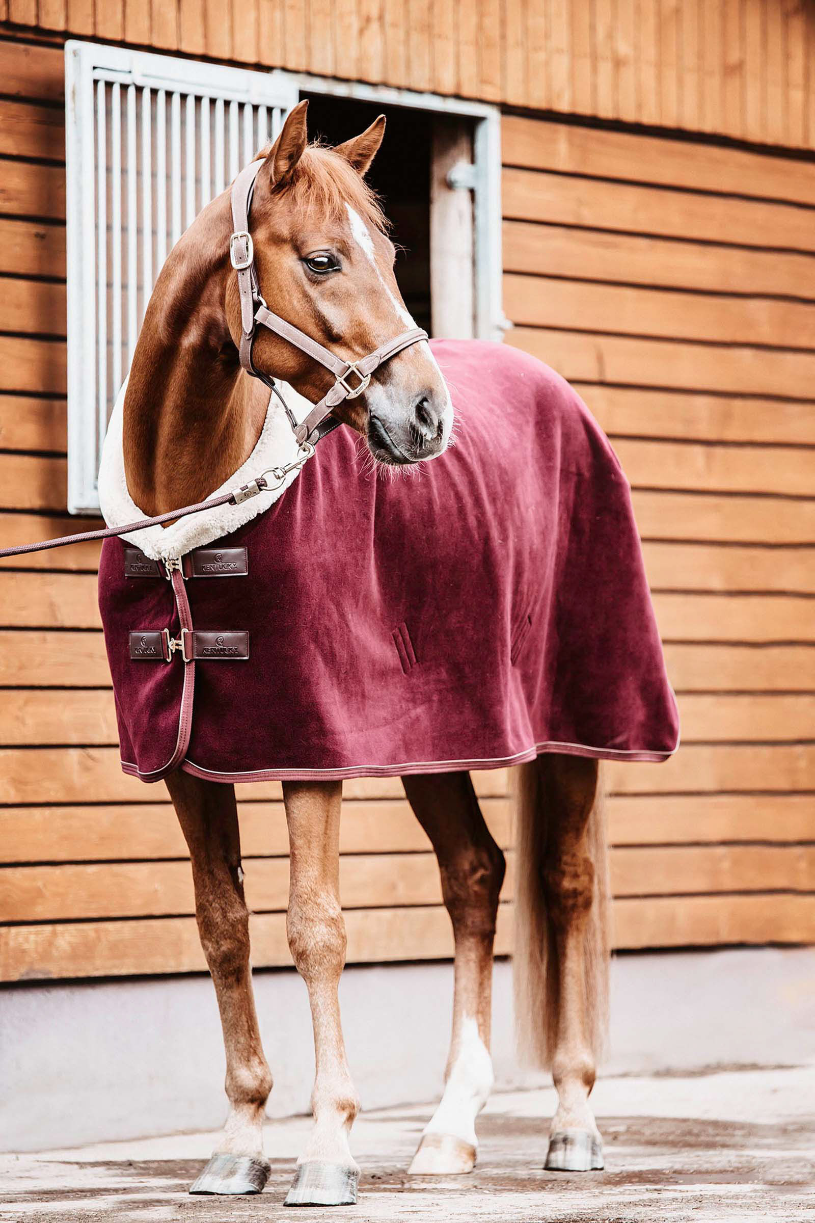 Horze fleece top rug