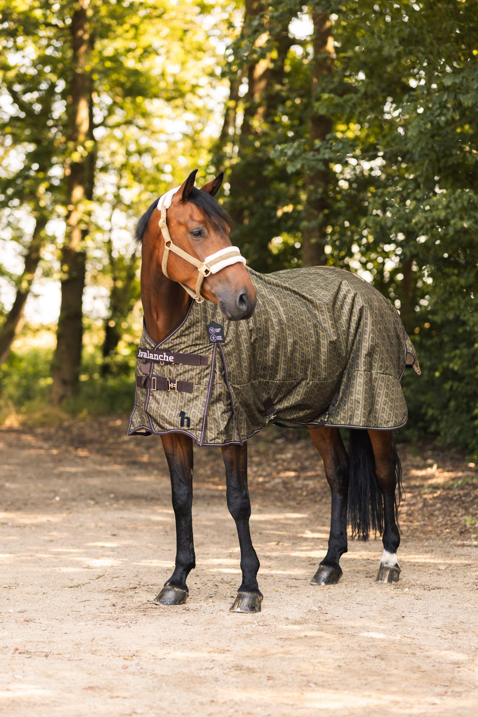 Buy Fleece Lined Waterproof Horse Blanket horze
