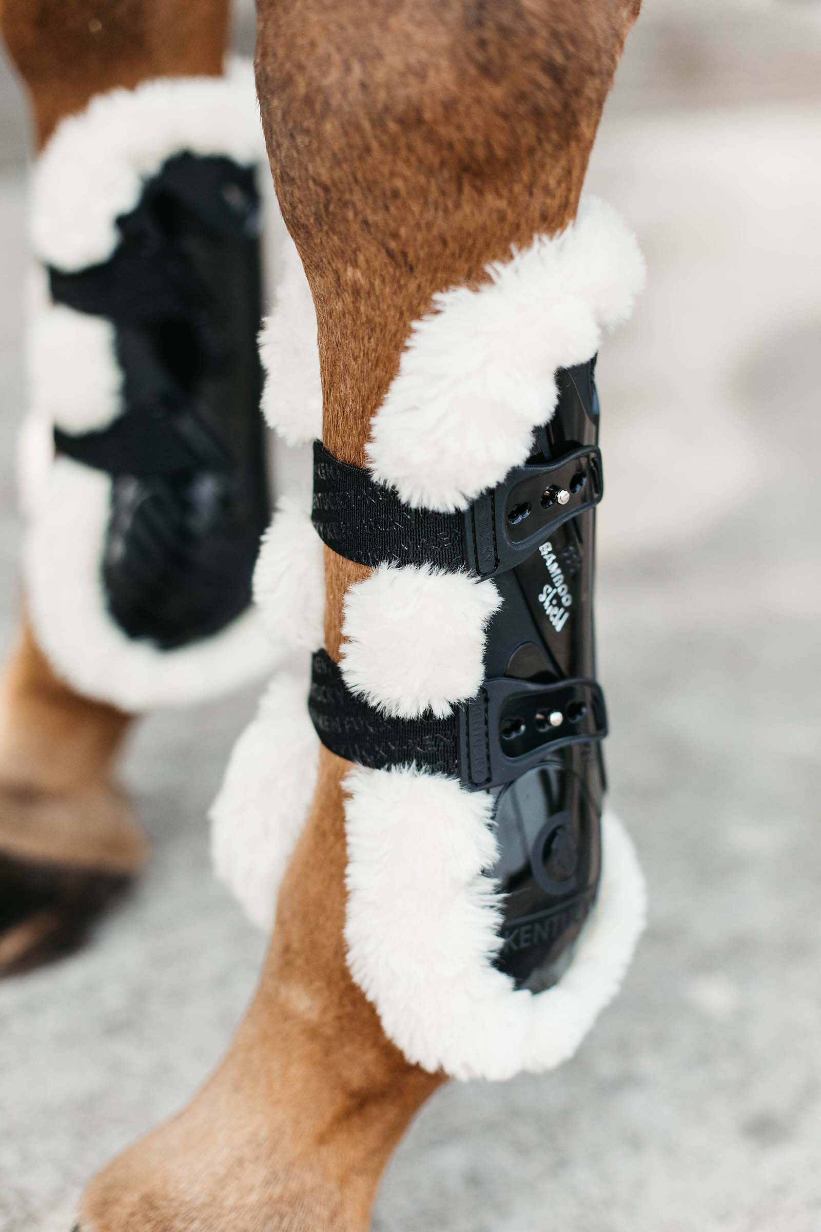 Buy Kentucky Horsewear Vegan Sheepskin Bamboo Elastic Tendon Buy Kentucky Horsewear Vegan Sheepskin Bamboo Elastic Tendon