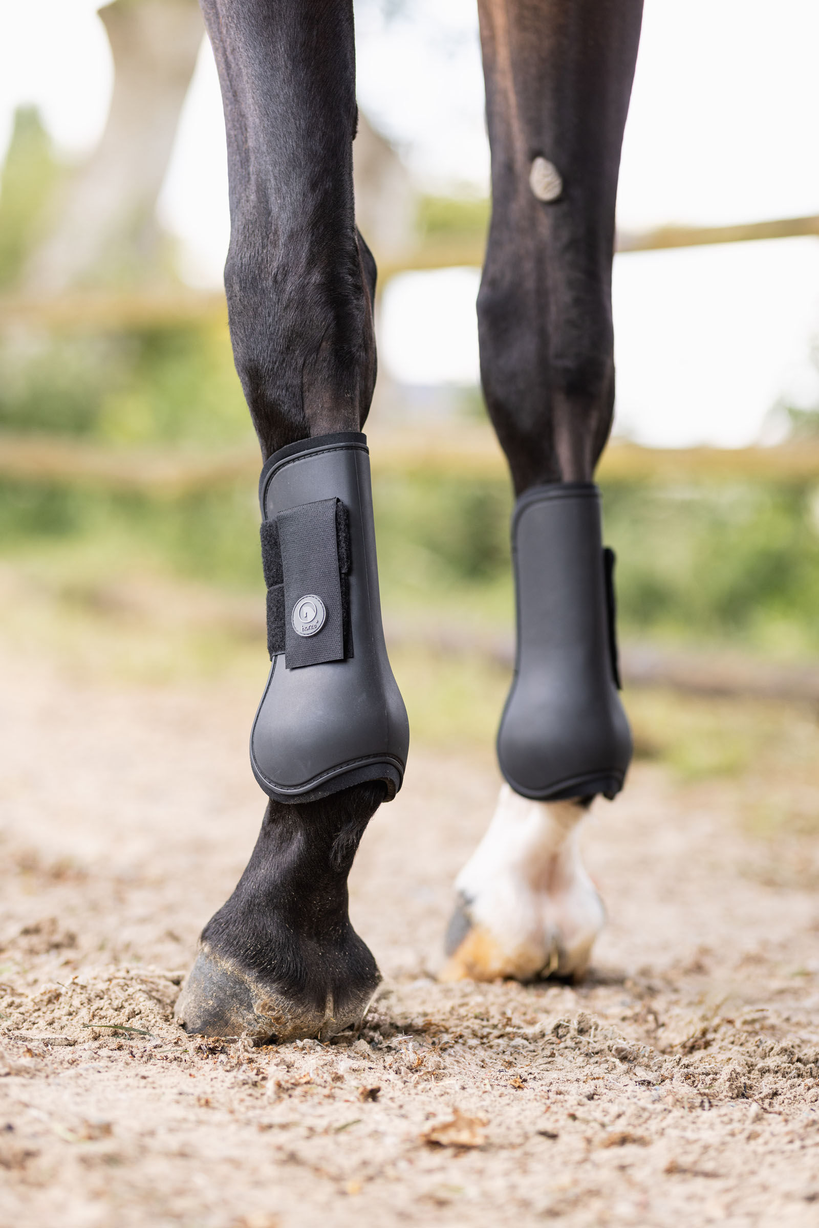 Horze tendon boots new arrivals
