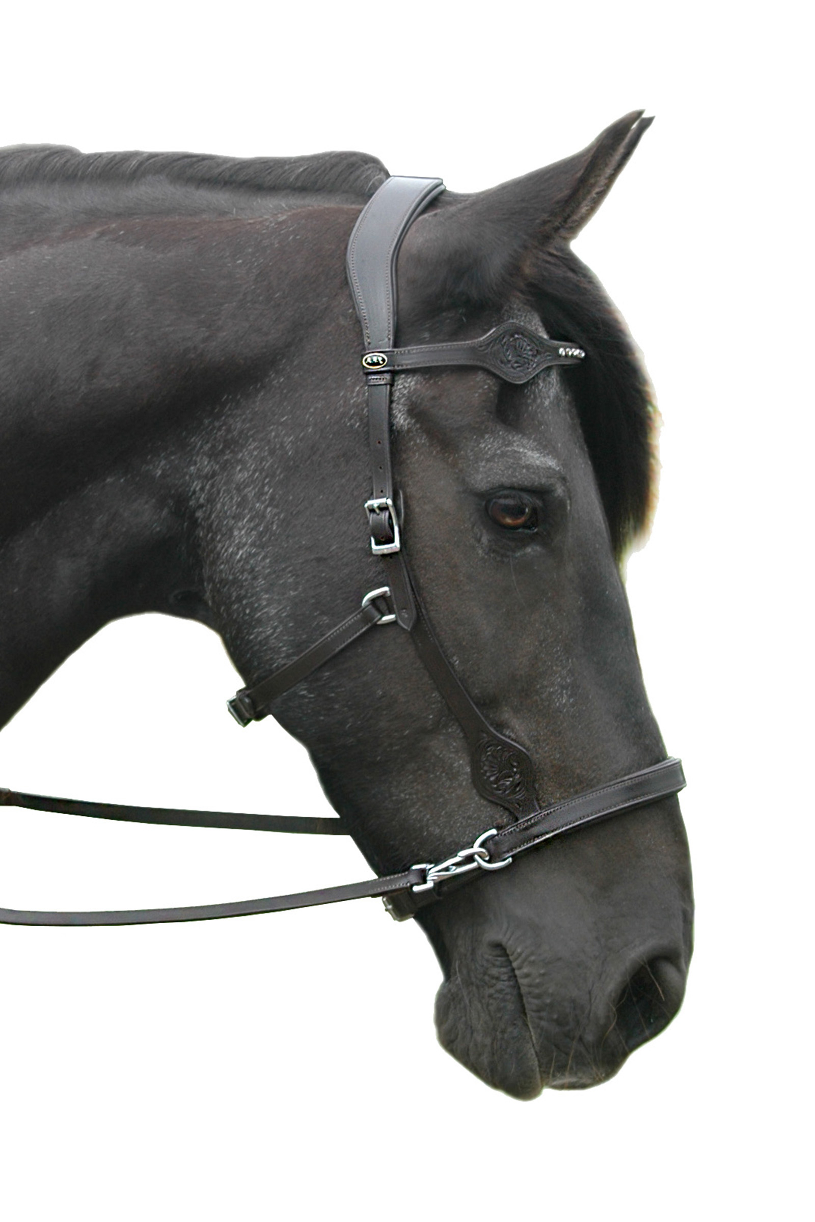 Оголовье сайдпулл, Harry's Horse
