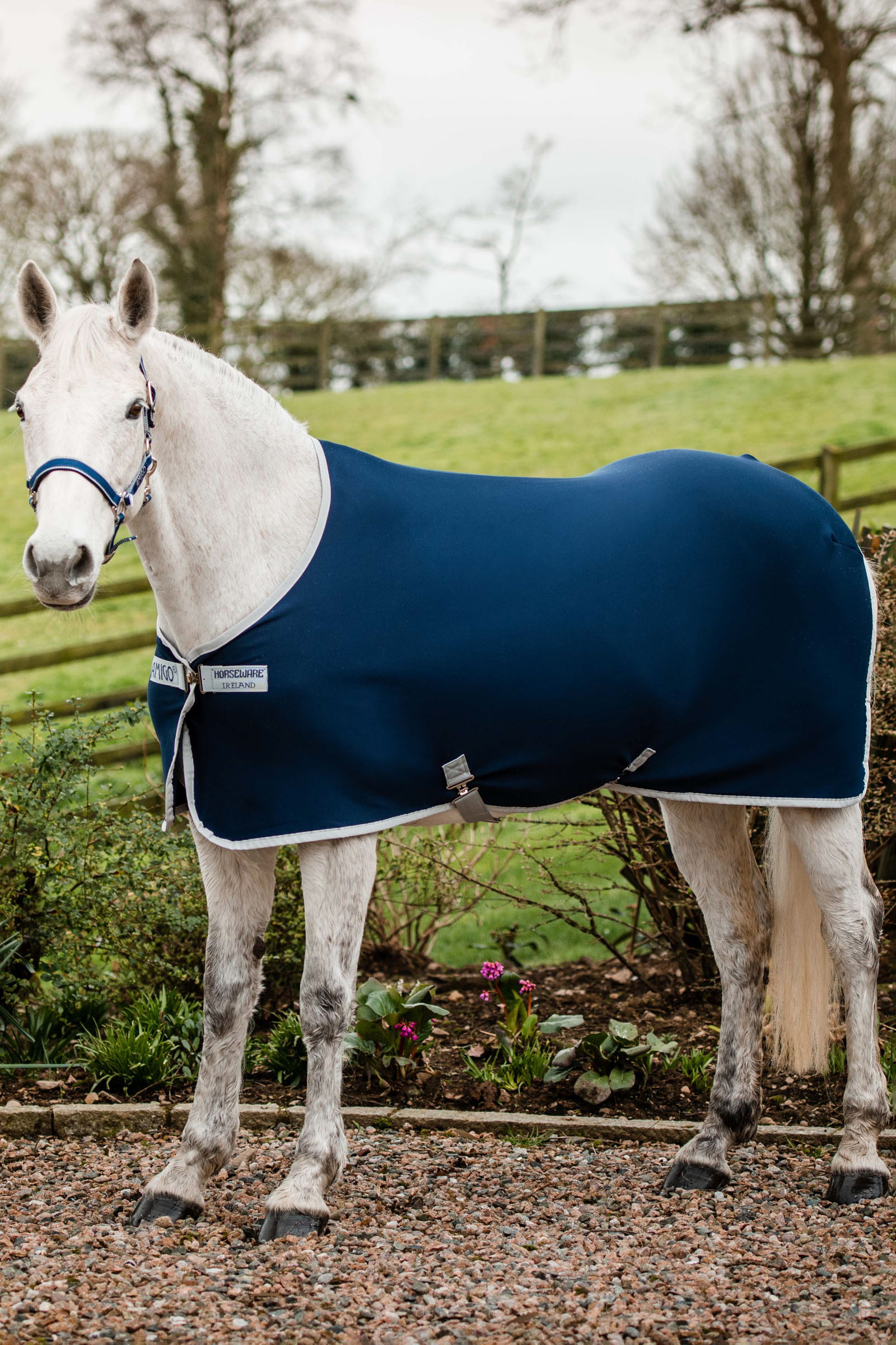 wolf rand kamp Buy Horseware Amigo Jersey Cooler | horze.com