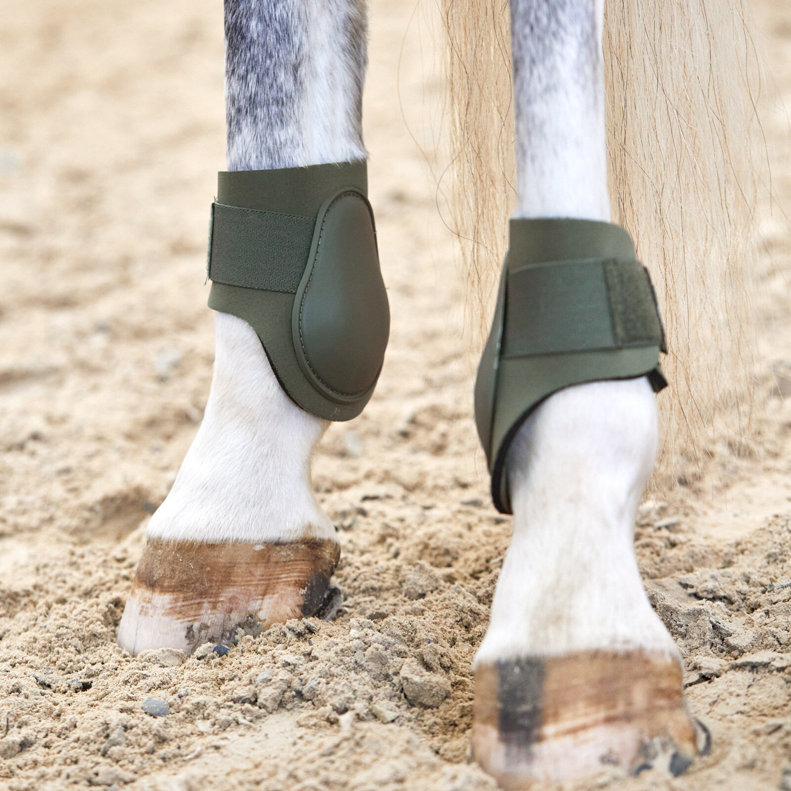 Ankle boots horse clearance