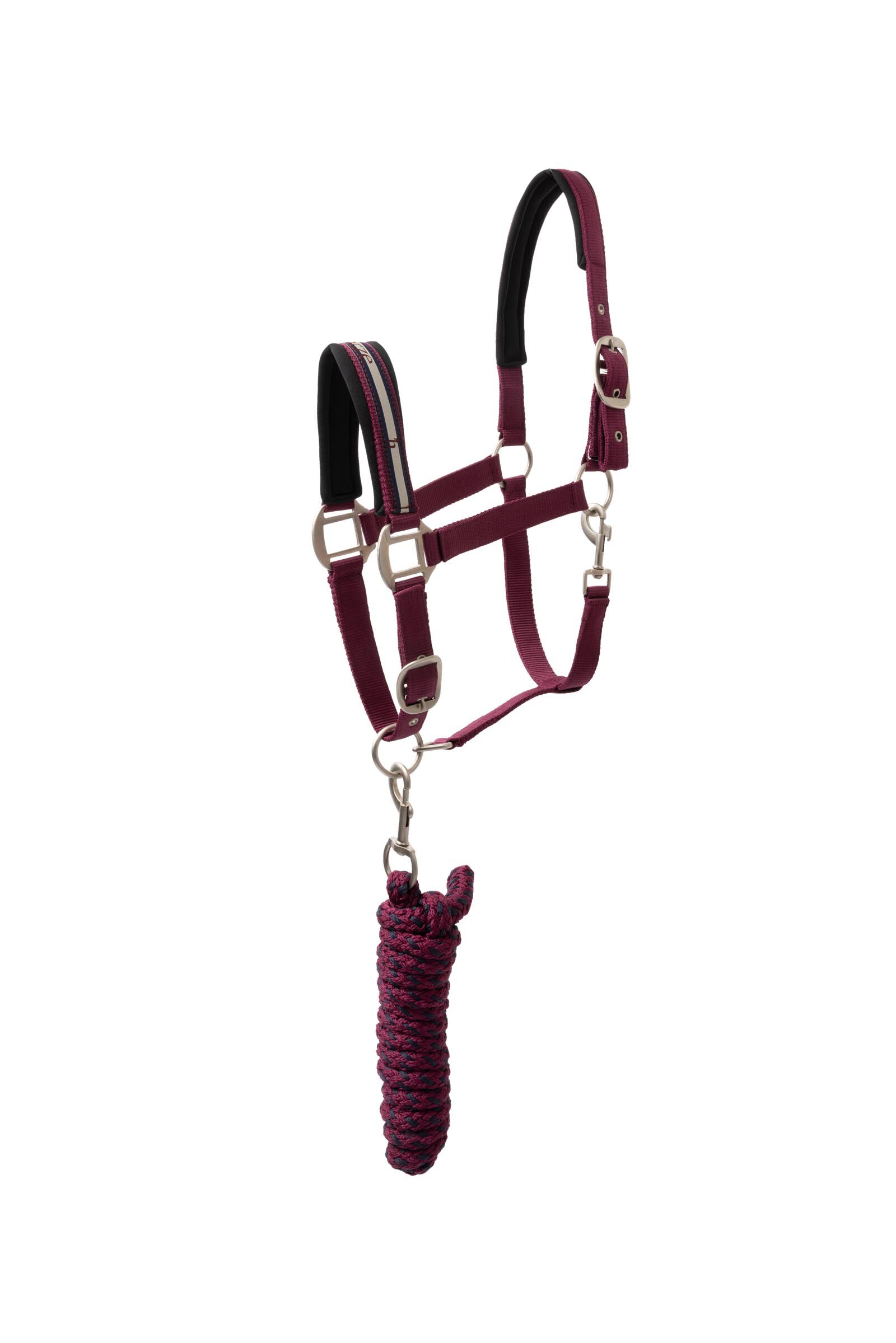 Buy affordable Collections now | horze.com