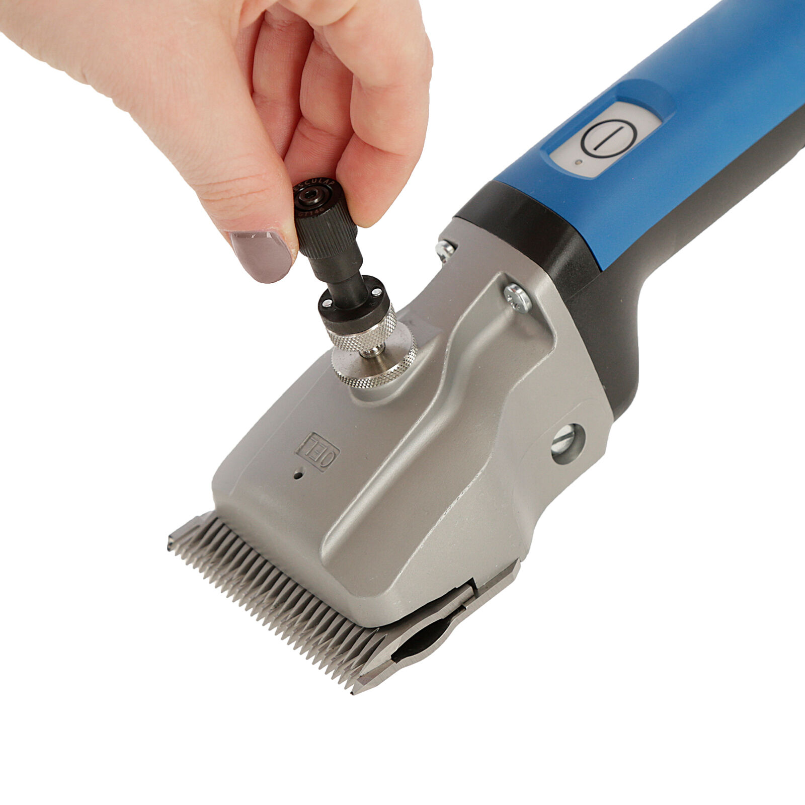 Aesculap bonum clippers hot sale