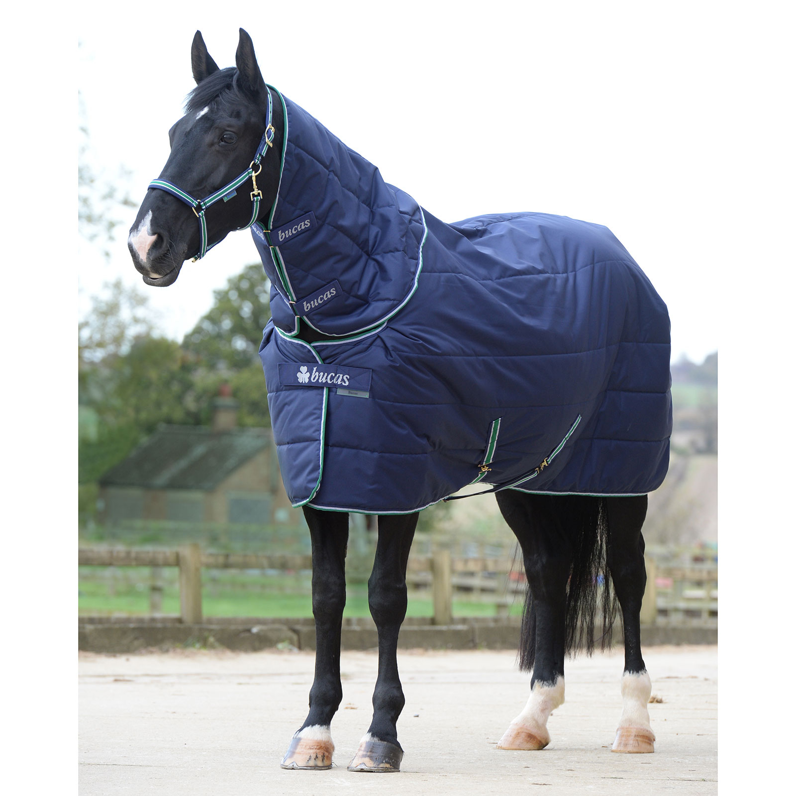 geestelijke gezondheid Scheiding agitatie Buy Bucas Quilt Big Neck SF Under Rug, 150g | horze.com