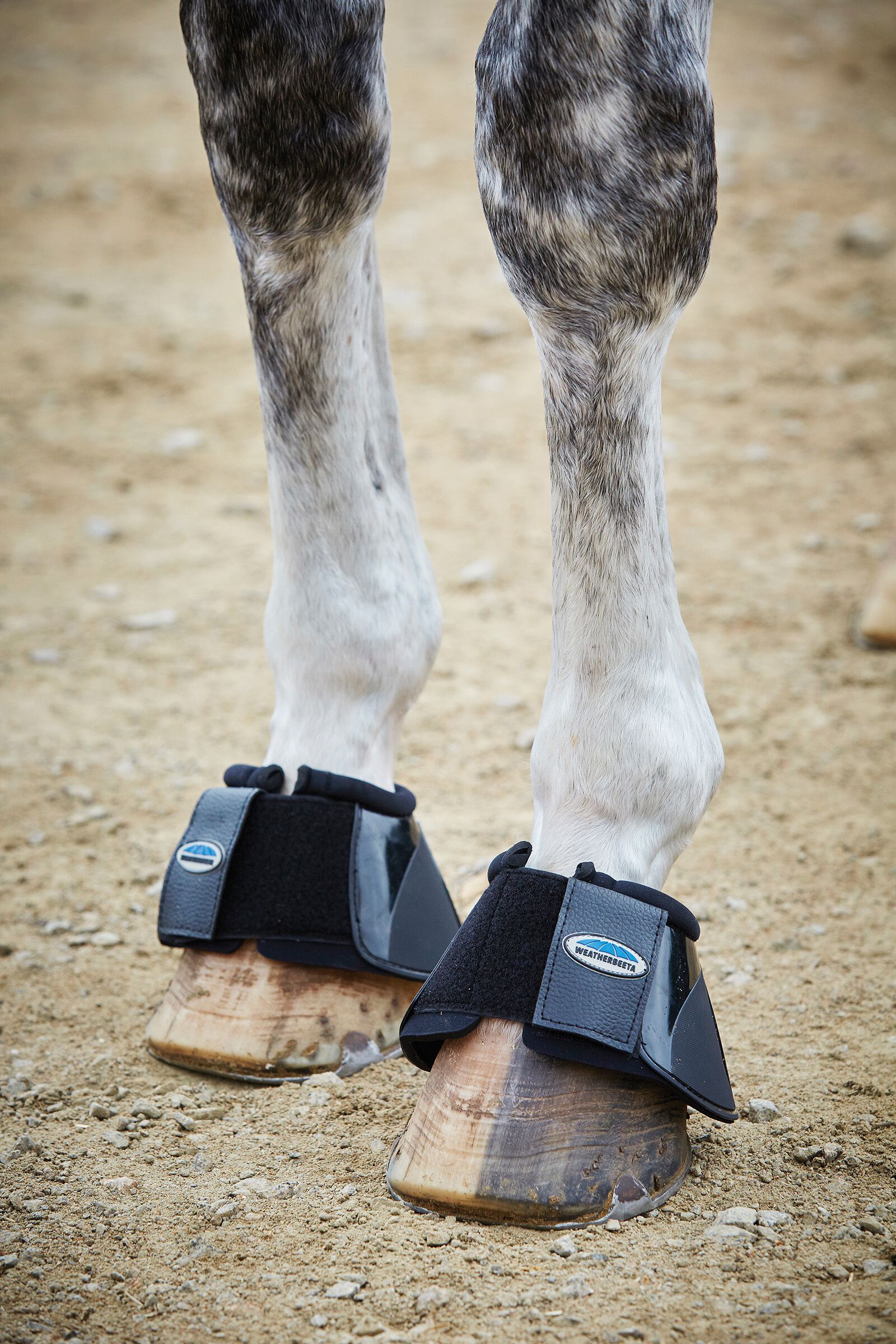 Weatherbeeta boots sales