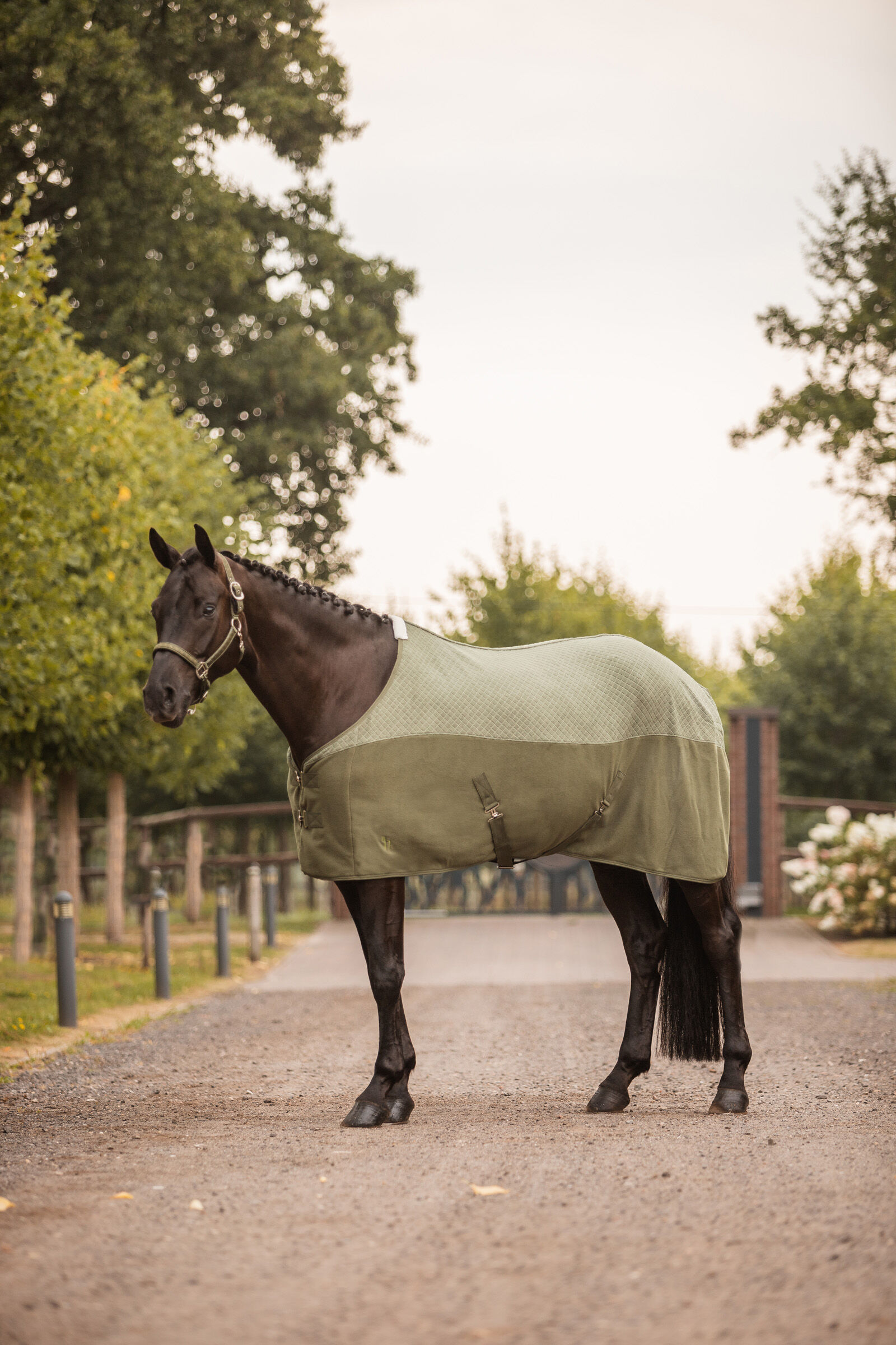 Horze fleece top rug
