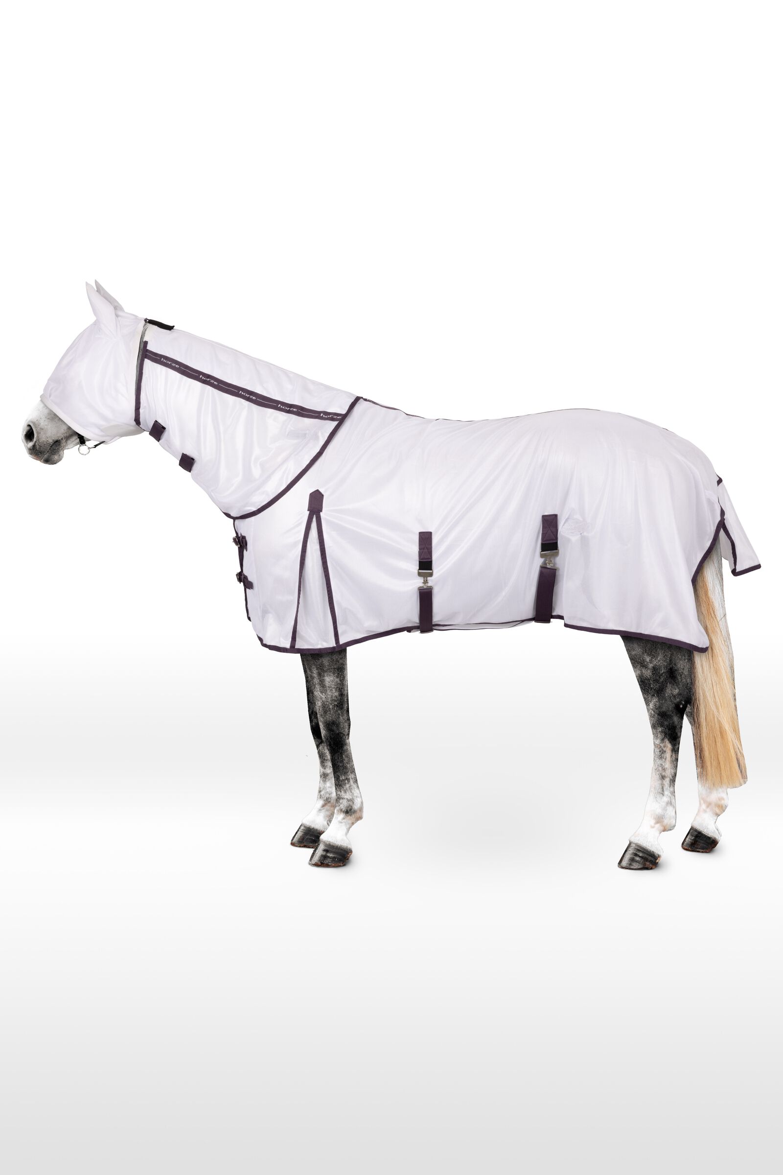 DARTSLIVE CARD Special Pack White Horse
