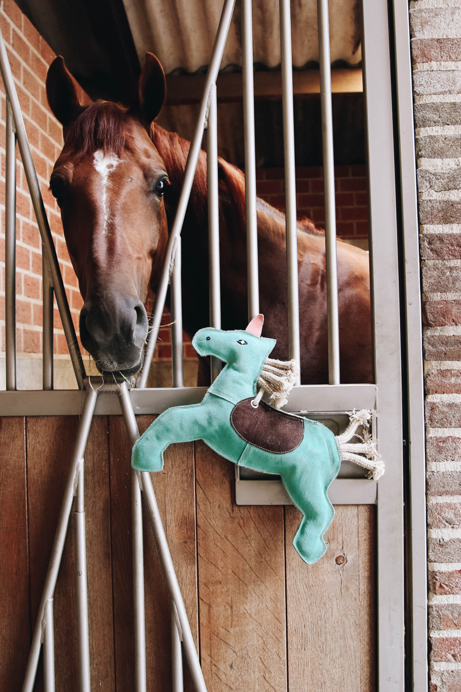 Horse Toys Arena Equipment horze