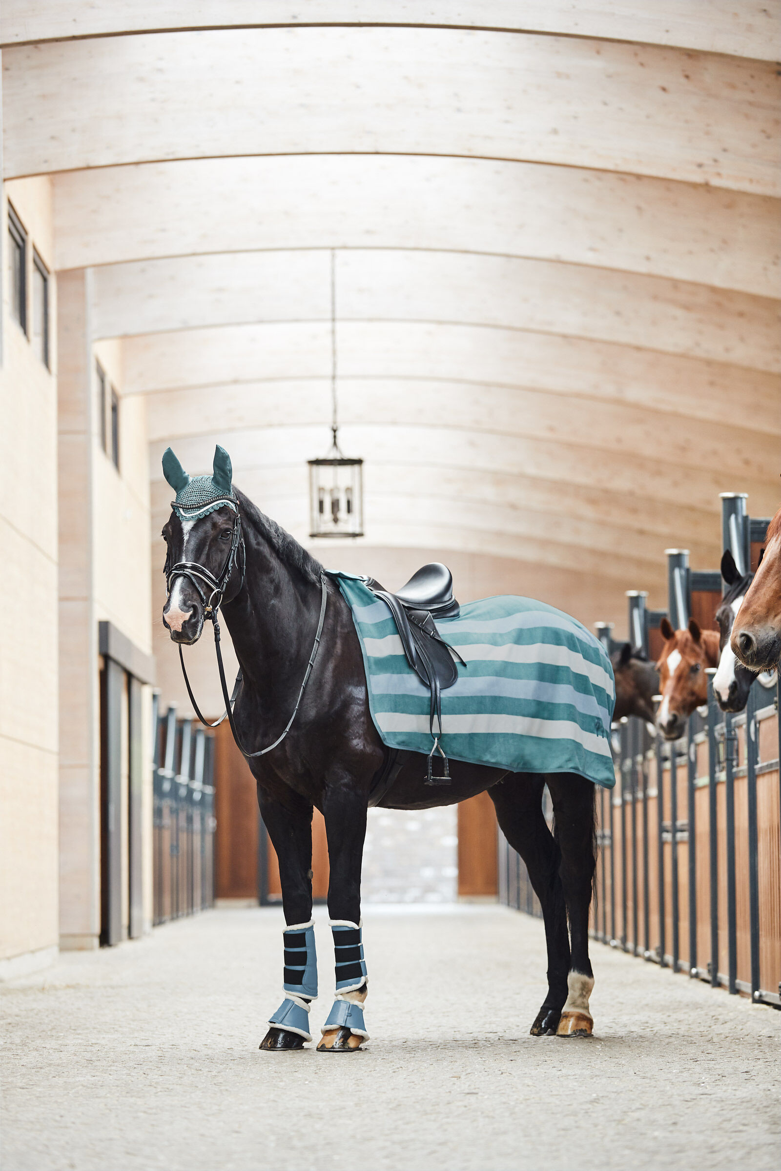 Horze wilton sales fleece riding blanket