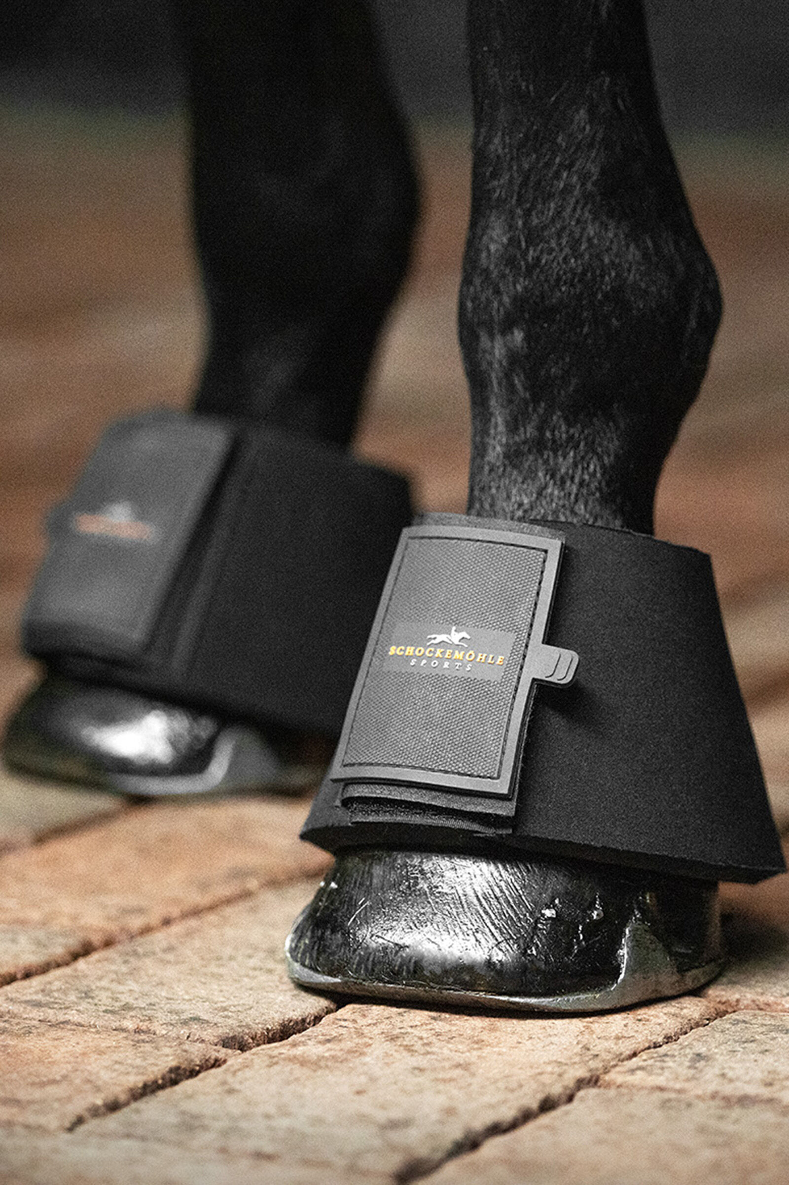 Schockemohle boots top