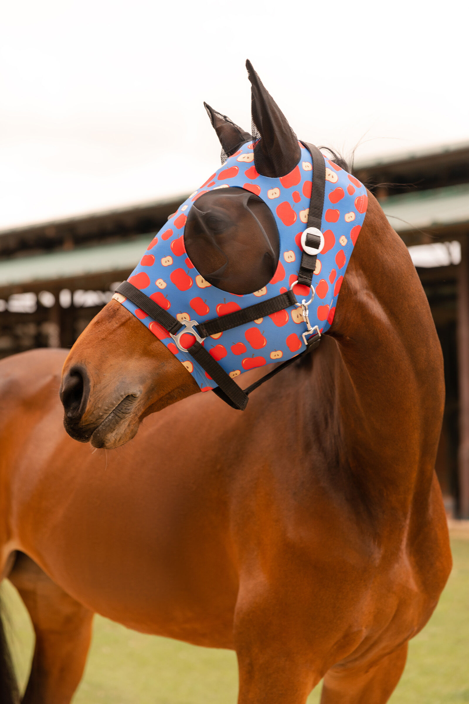 Buy Horze Elastic Pull-On Fly Mask | horze.com