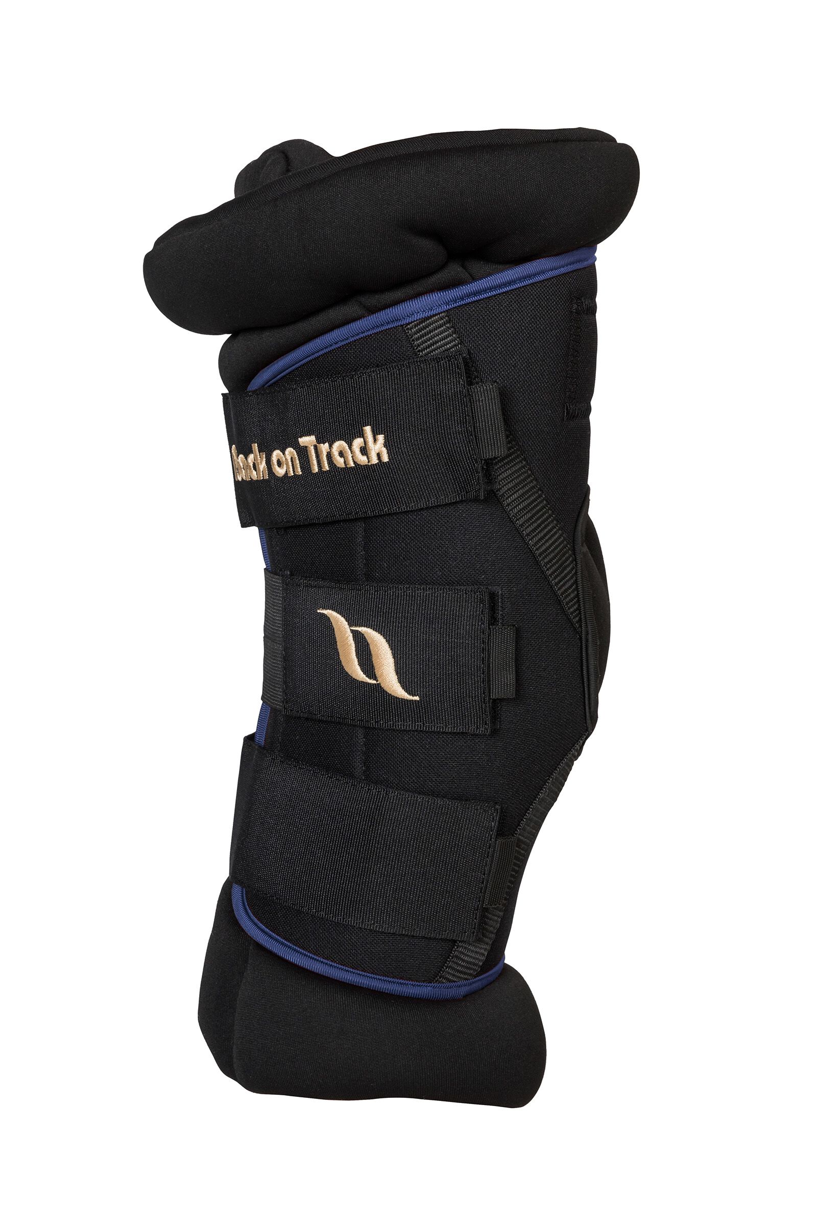 Back on track royal hock boots new arrivals