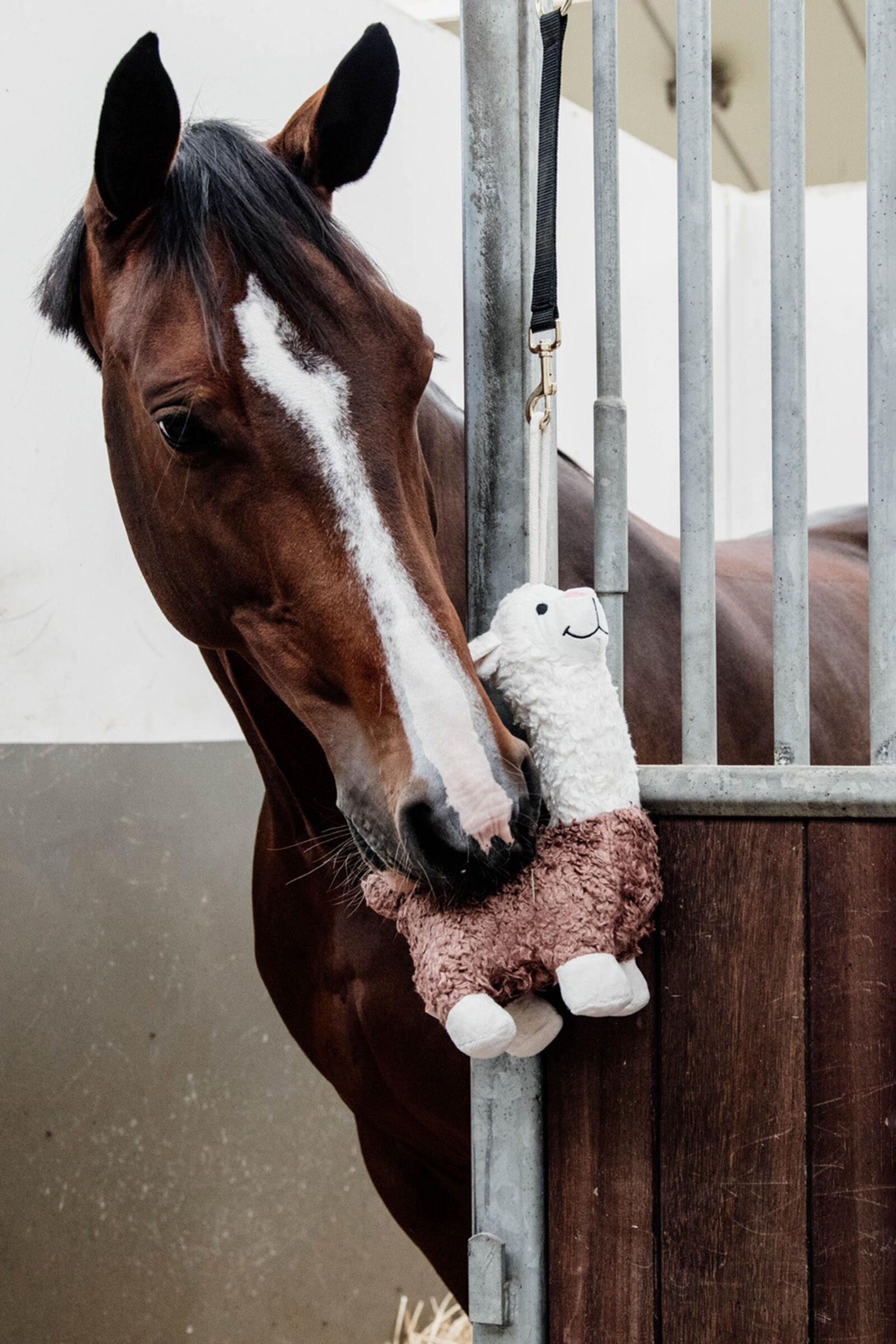Toy horse arena deals