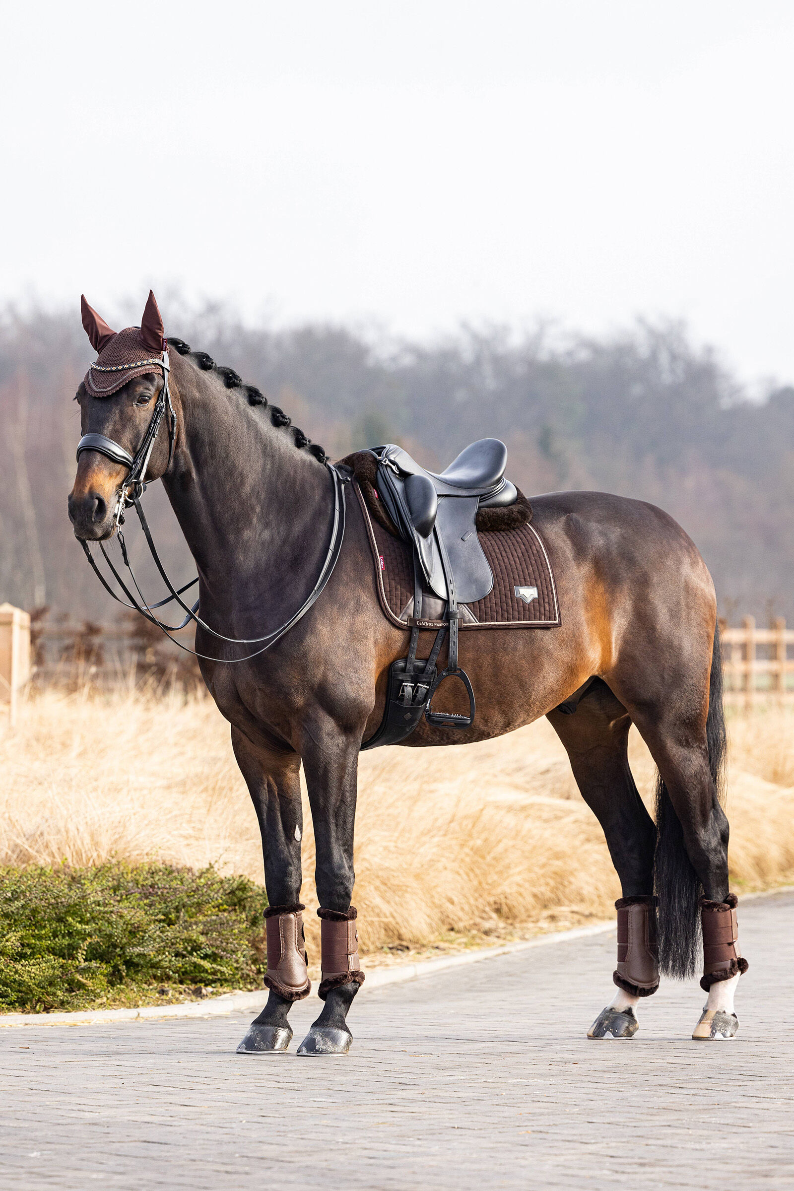 Le mieux deals saddle pad sale