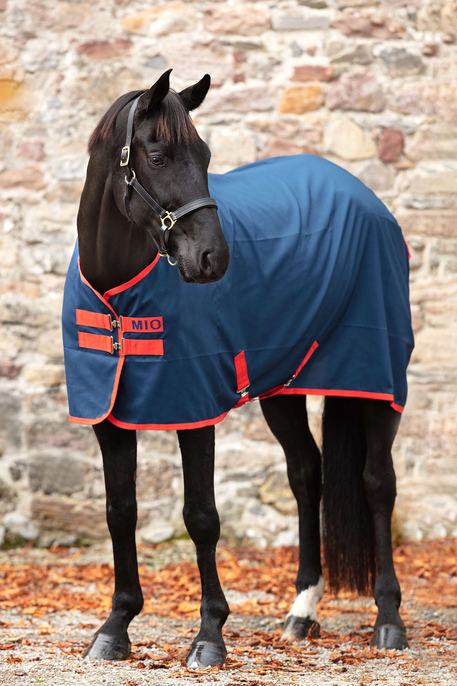 Horseware HERO 900 TURNOUT - Wasserdichte Decke - capri/gunmetal & bluebell  - Private Sport Shop