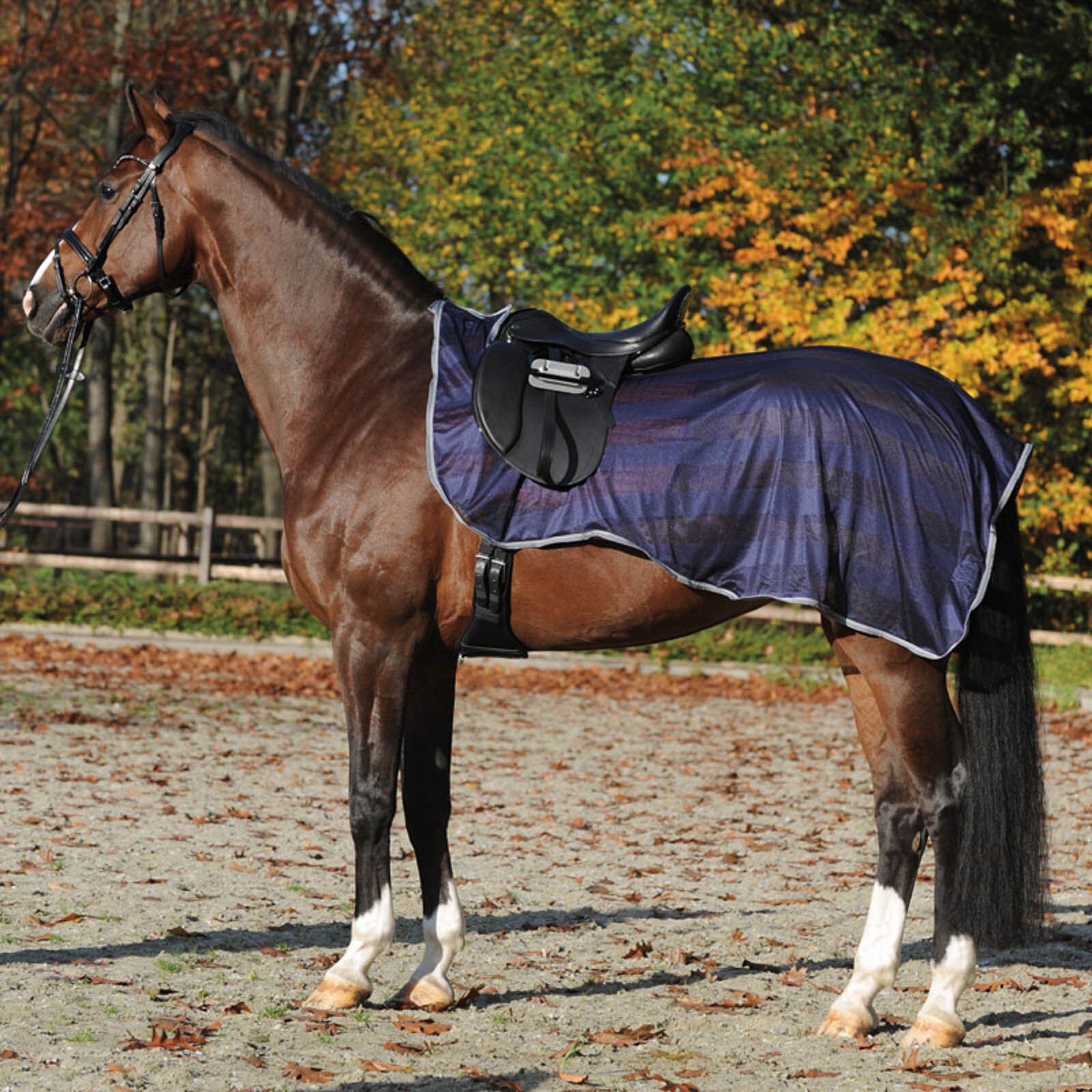 Horze wilton fleece riding blanket best sale