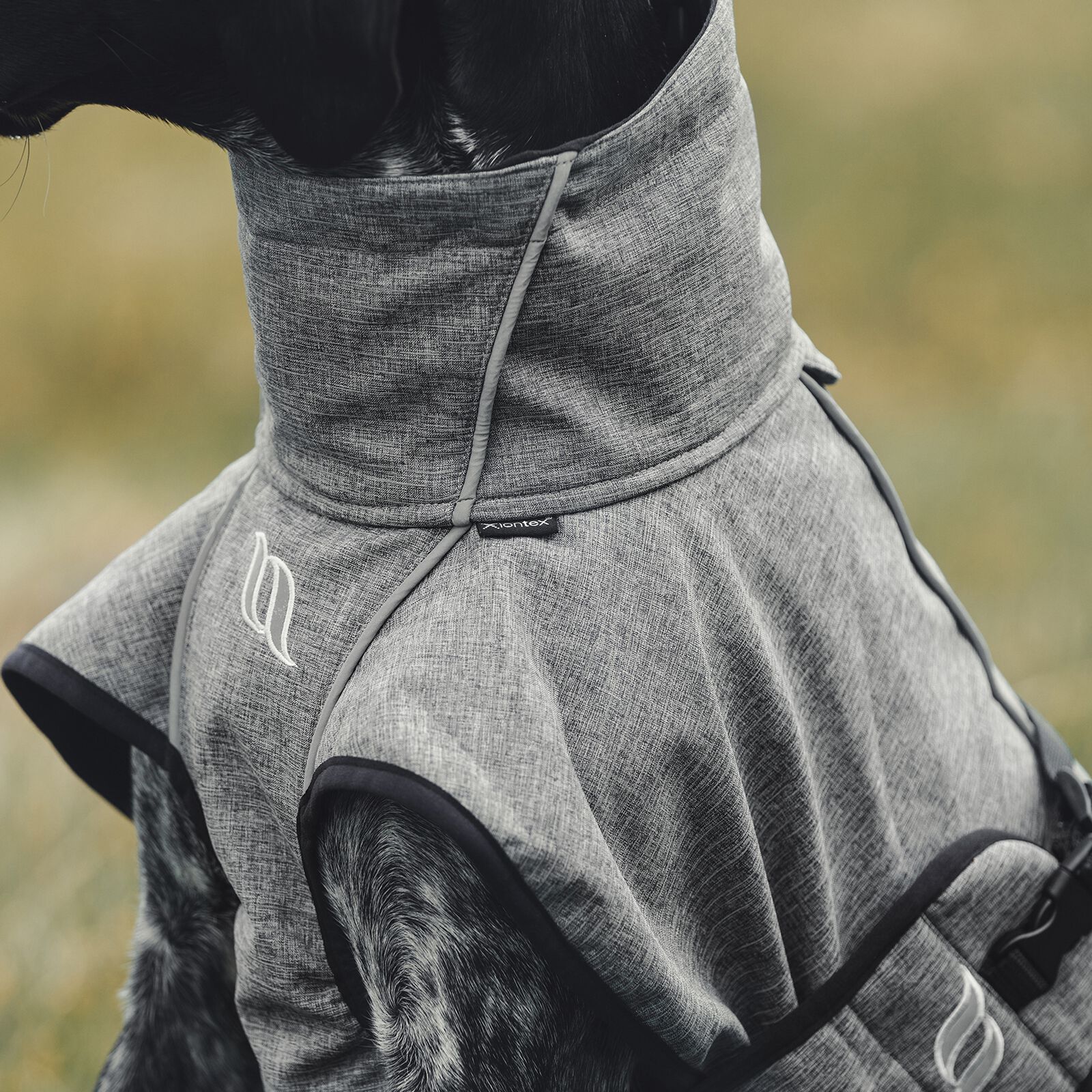 Buy Back on Track Bark All Round Dog Coat 55 65cm horze