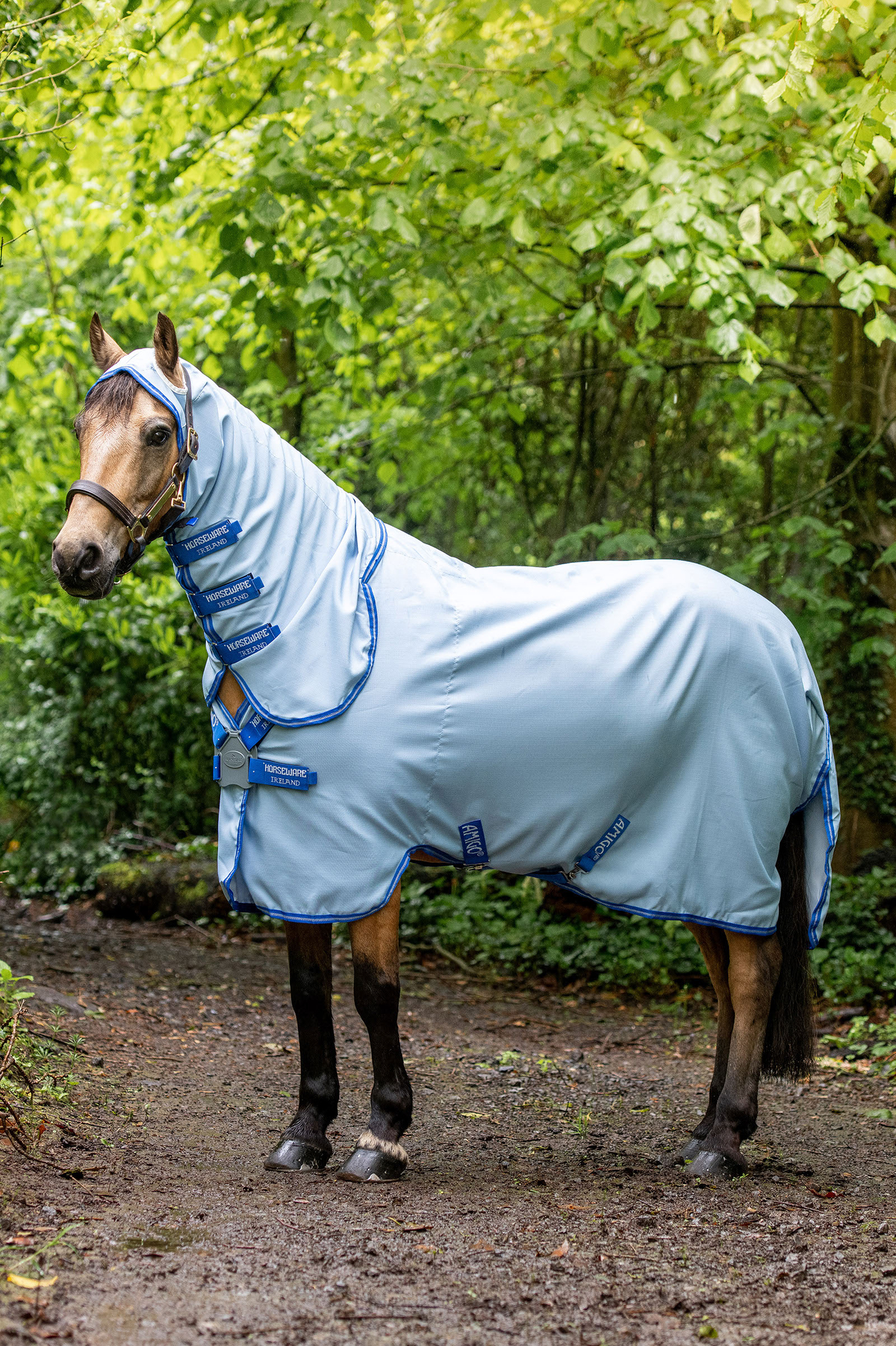 Horseware sweet on sale itch rug